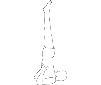sarvangasana h