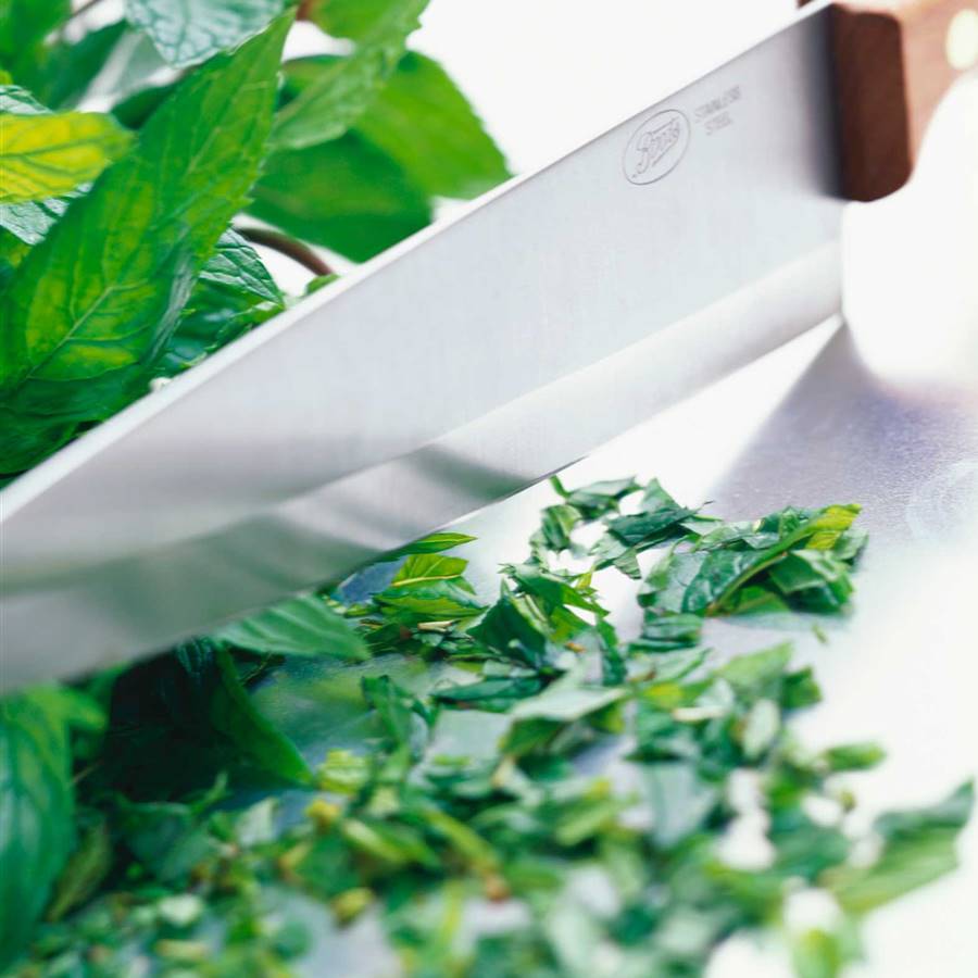5 recetas fresquitas con menta para combatir el calor en verano
