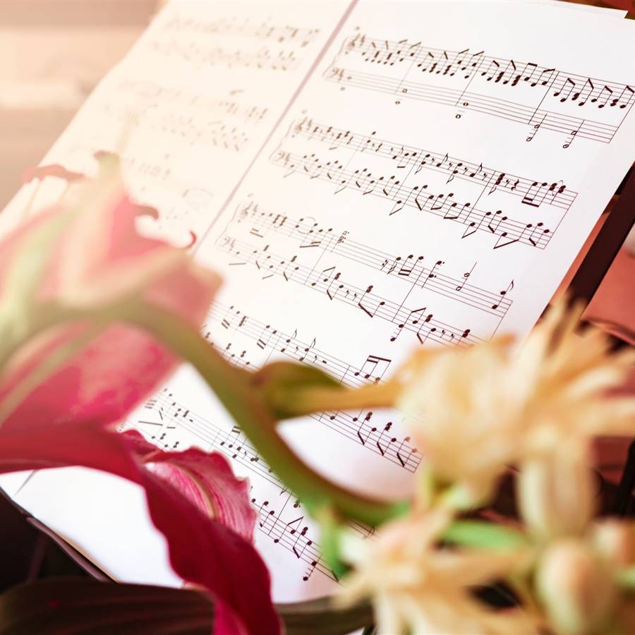 ¡Que no falte la música en tu vida!