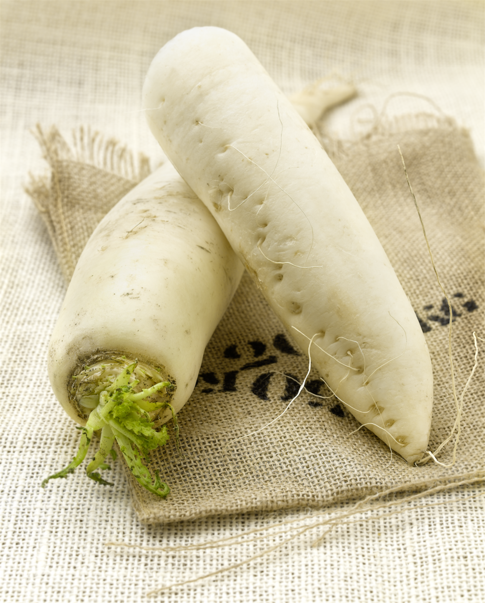 DAIKON