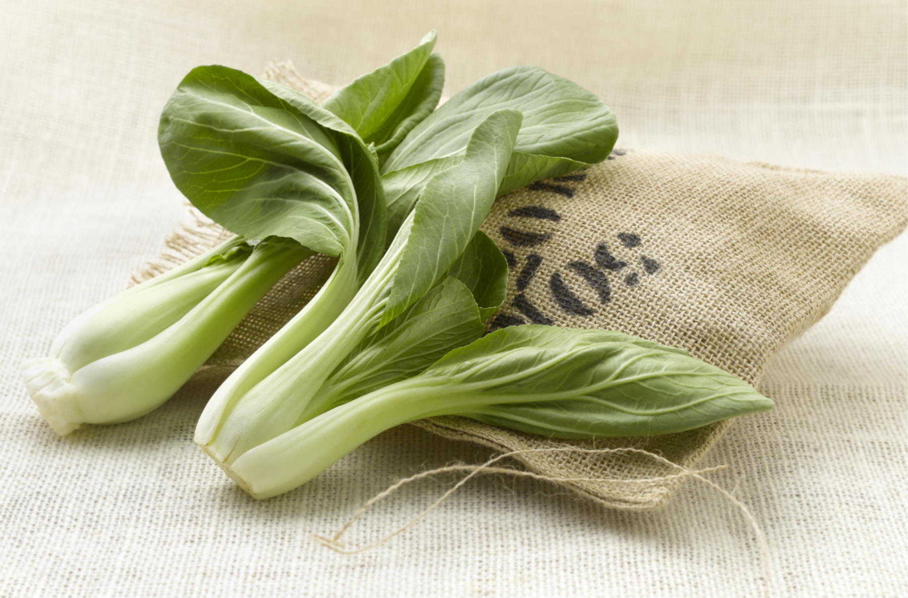 PAKCHOI