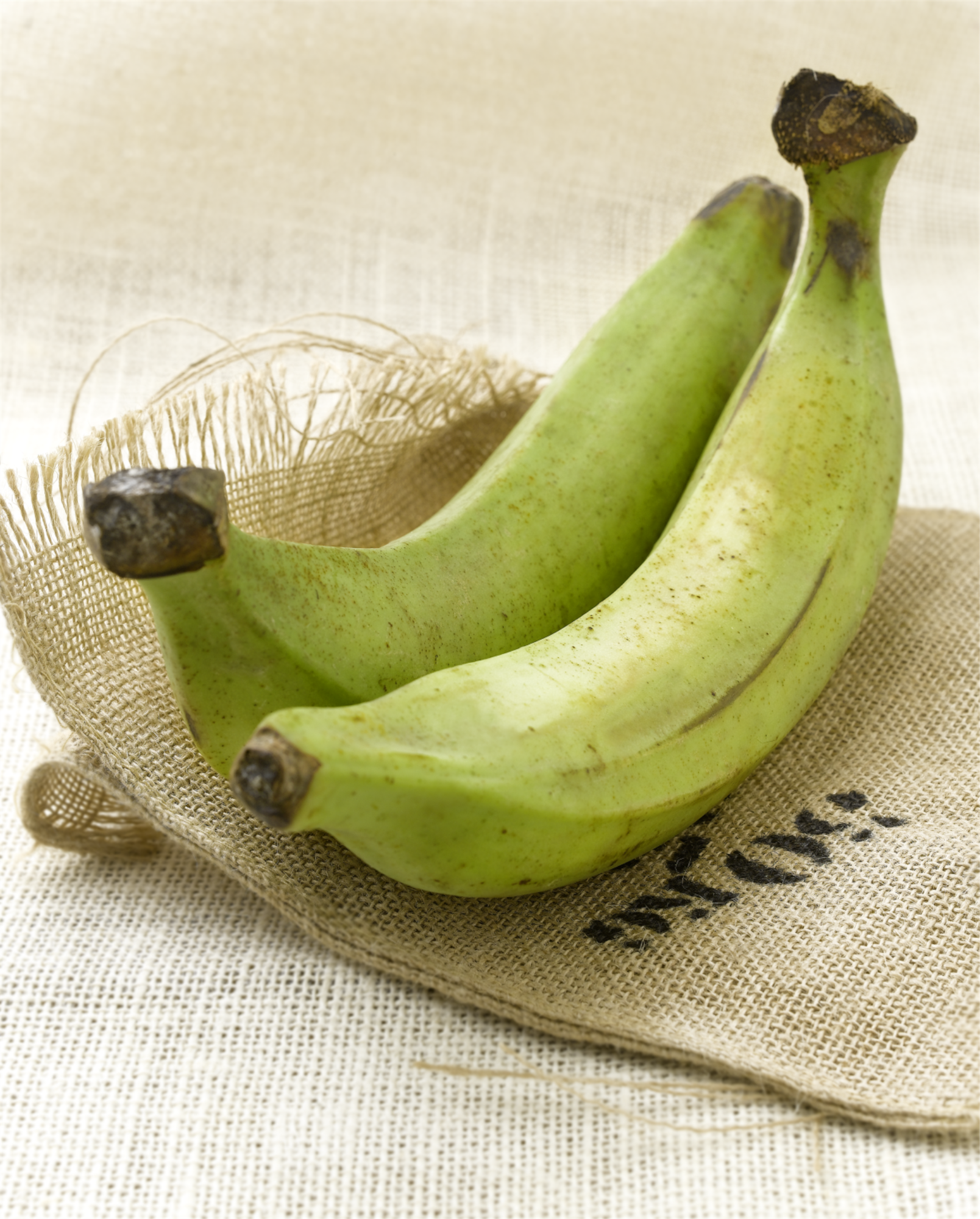 PLATANO MACHO