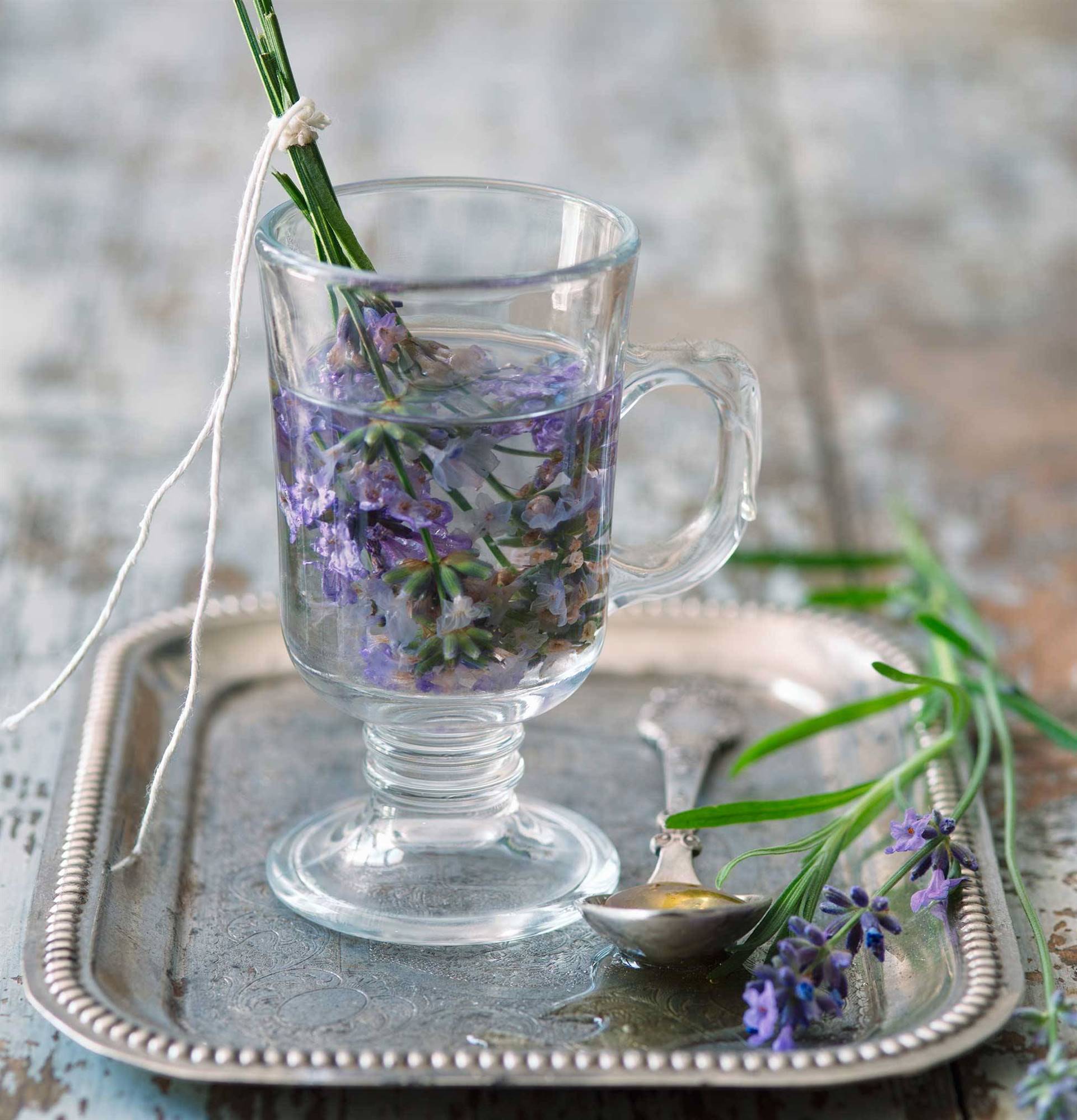 infusion-lavanda-s