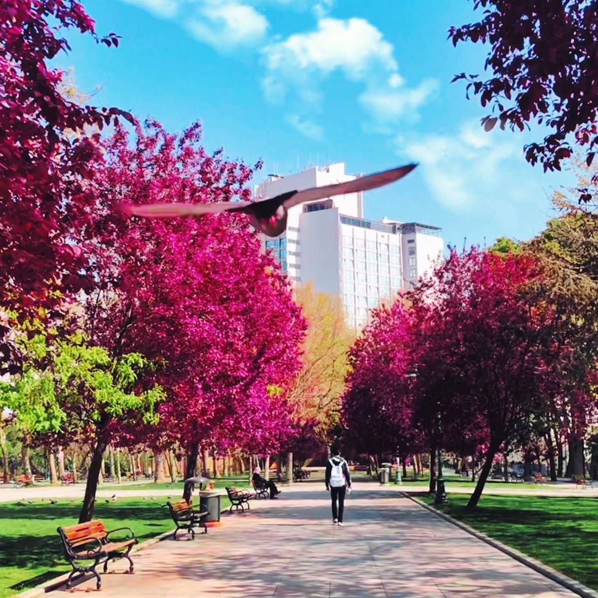 parque