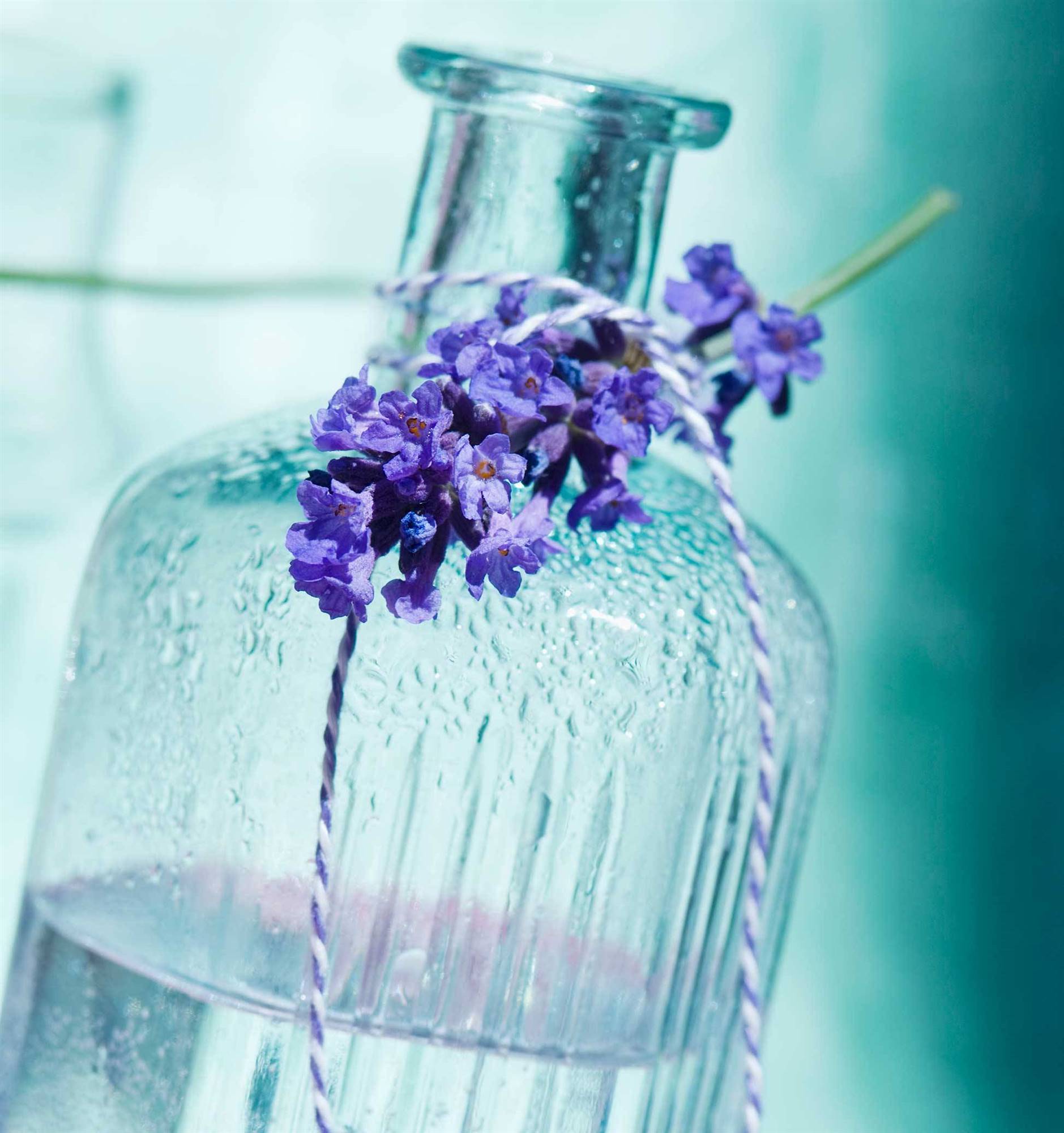 tonico-lavanda-s