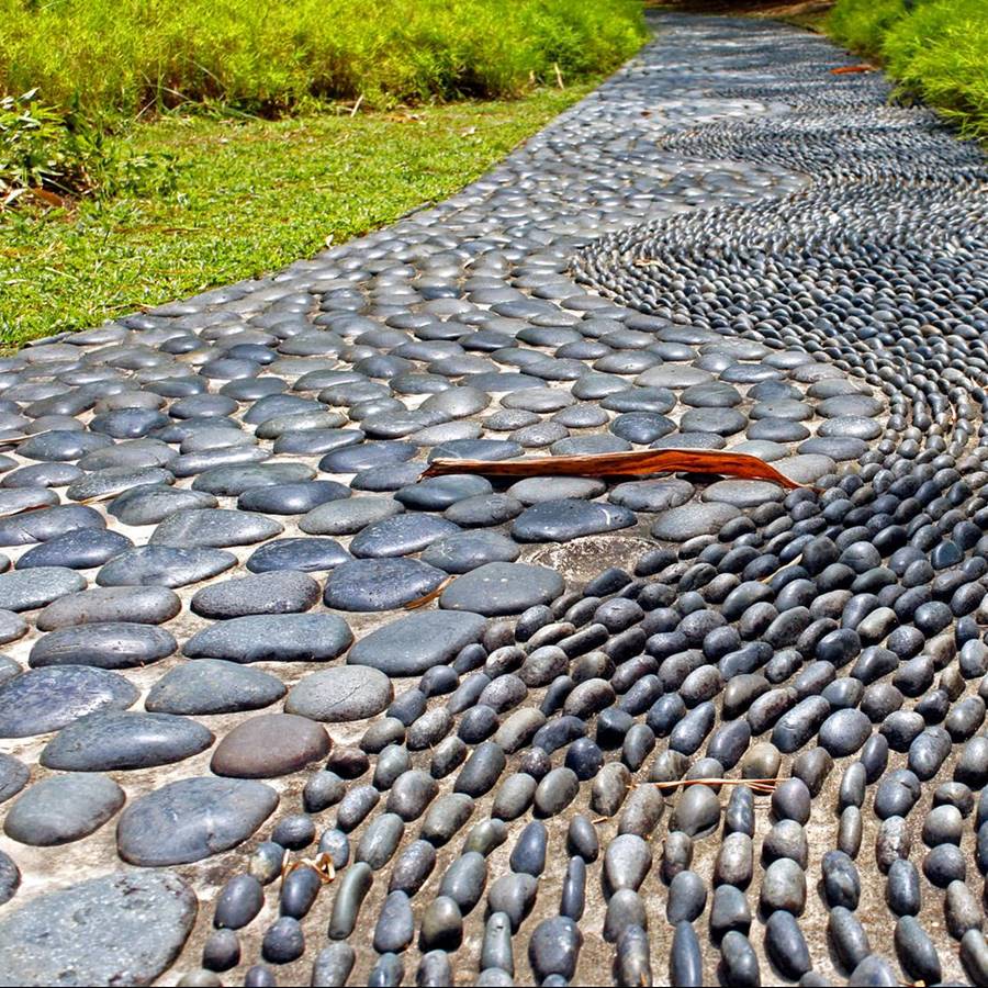 camino reflexología podal