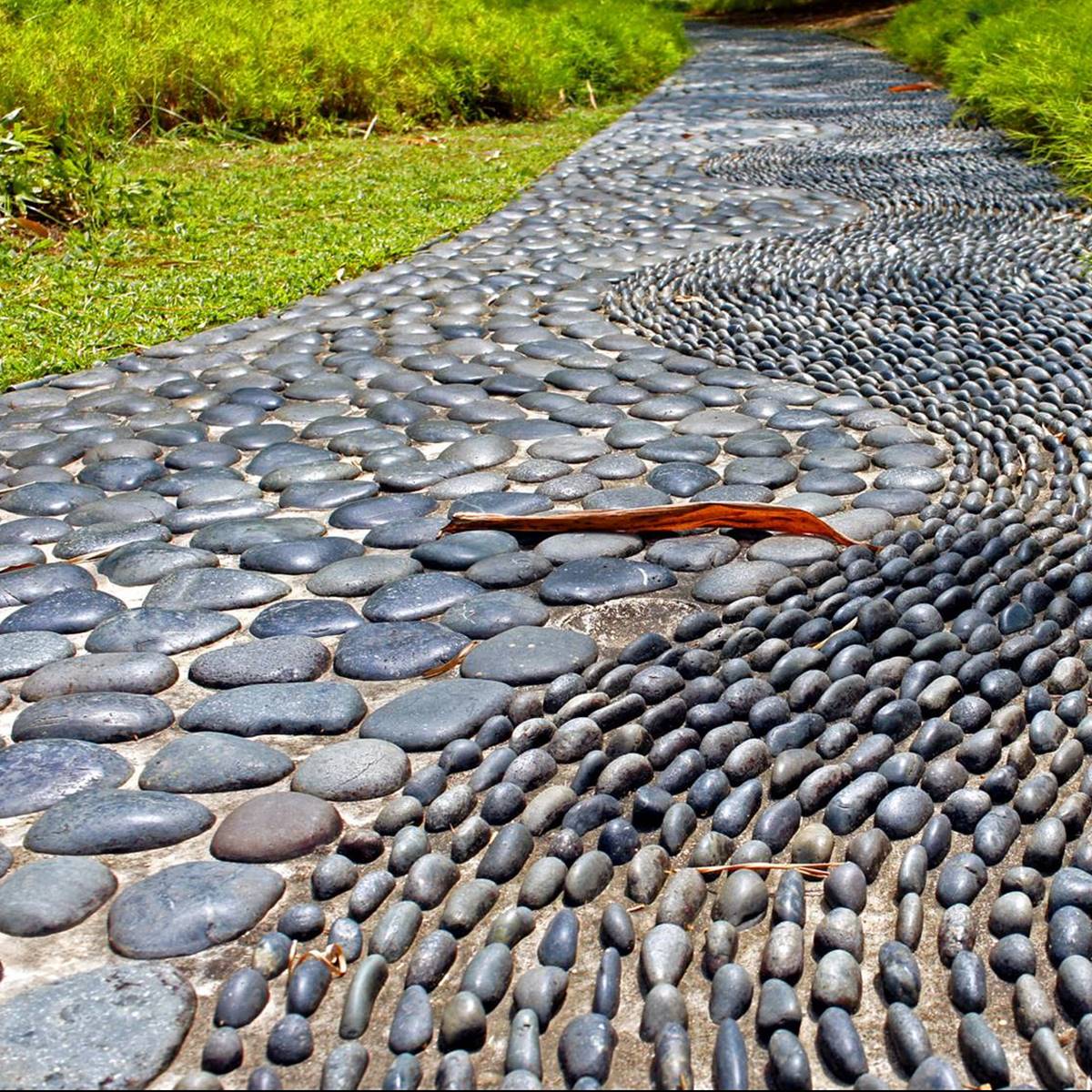 camino reflexología podal