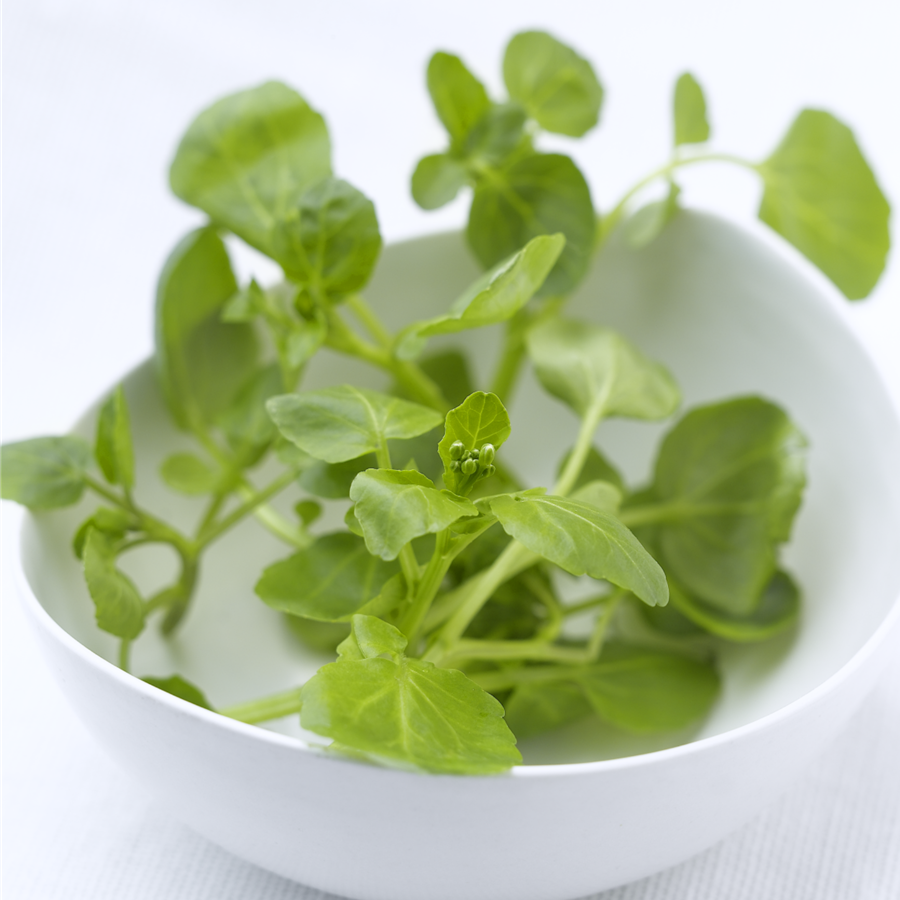 7 plantas para unas ensaladas más silvestres