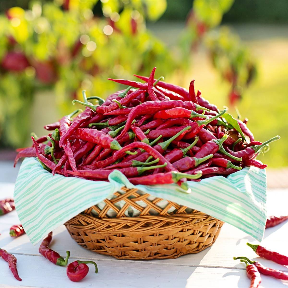 Cesta con chiles