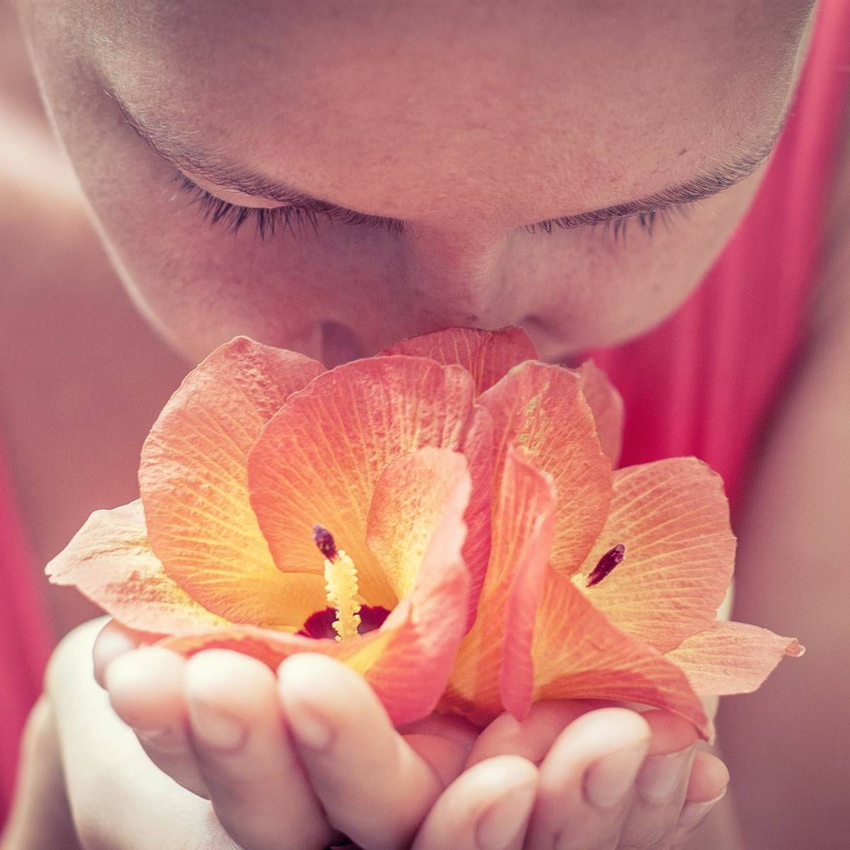 flores-remedio-salud