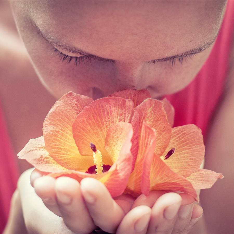 Las flores también ayudan a sanar