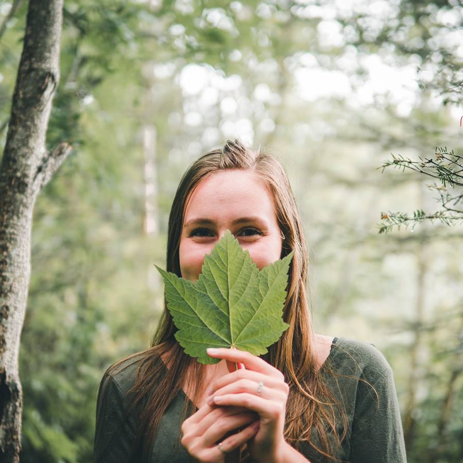 Plantas medicinales, nutrientes y ejercicios para cuidar la vista