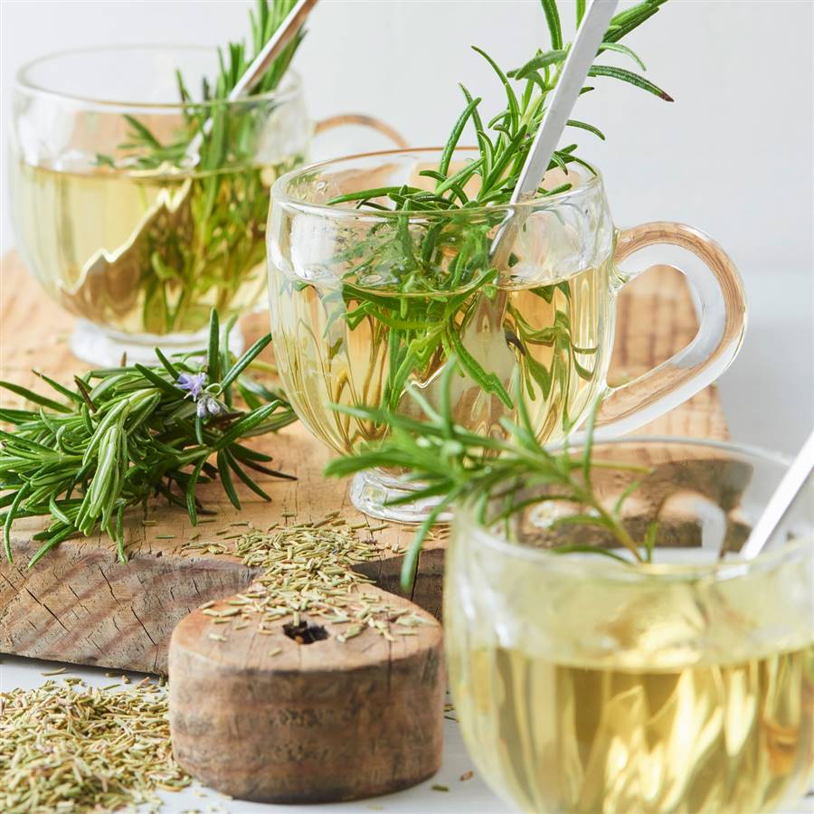 Infusion digestive contre les nausées au romarin et au gingembre