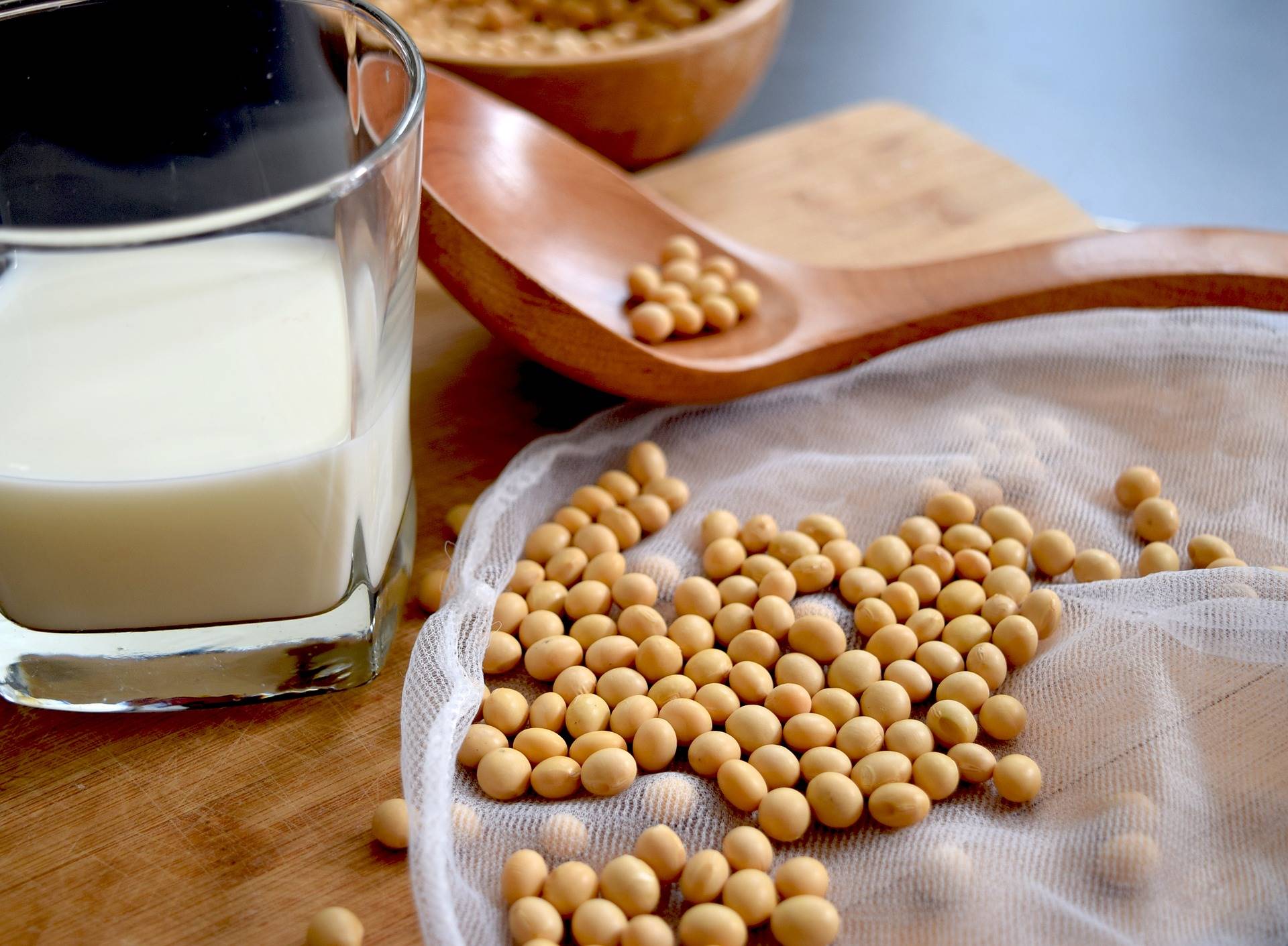 2 pixabay soy-milk-2084018 1920