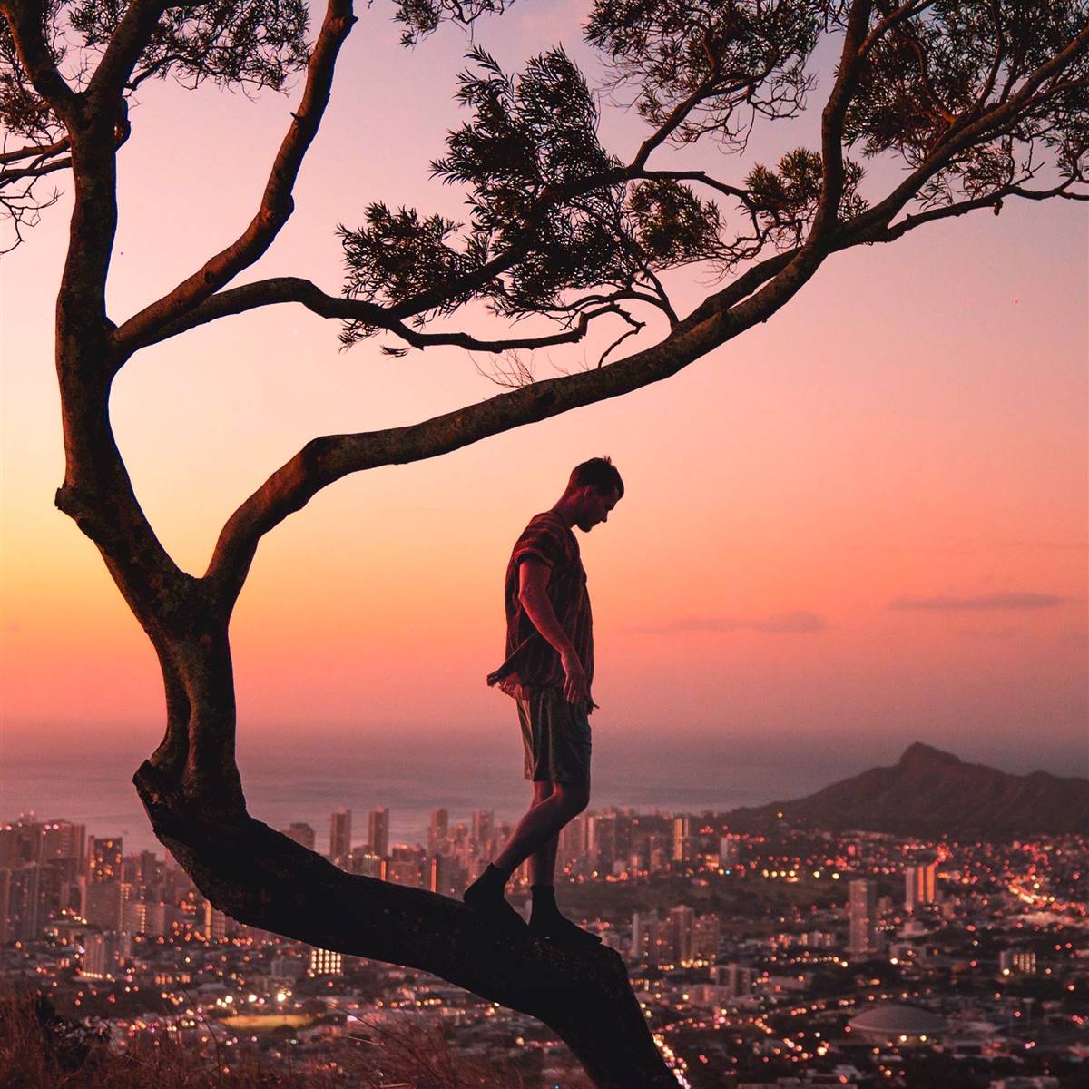 Hombre andando sobre un árbol con vistas a la ciudad