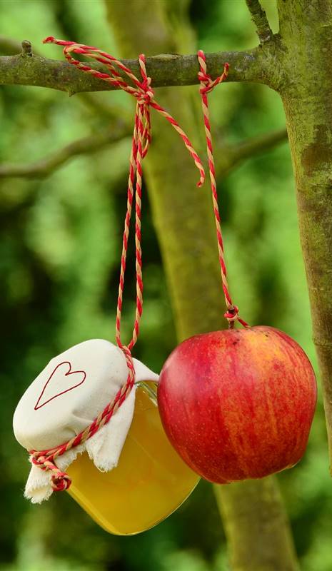 Manzana y tarro de compota colgados de una rama