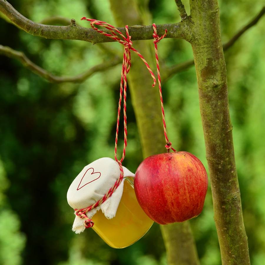 Manzana y tarro de compota colgados de una rama