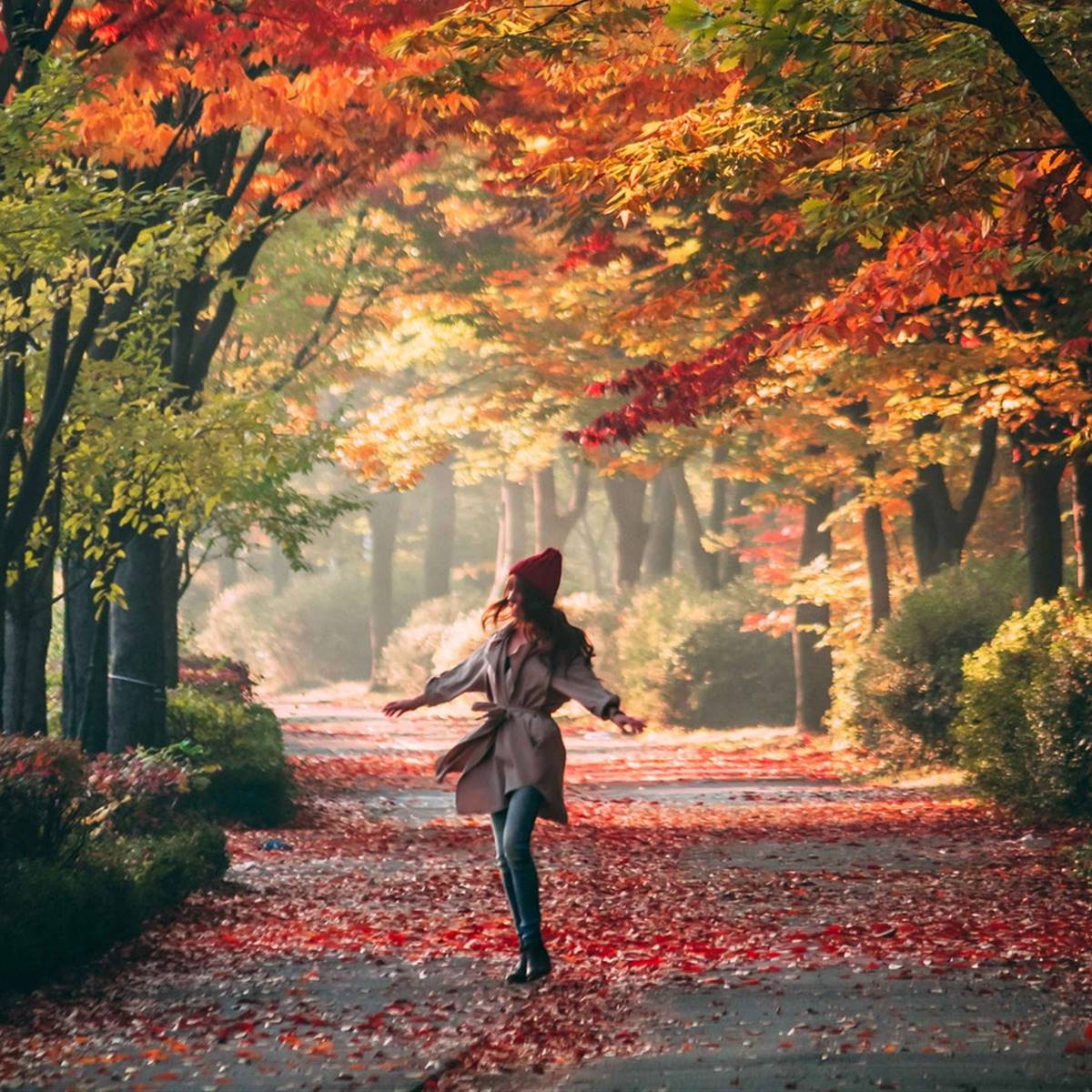 Recuperar energía otoño