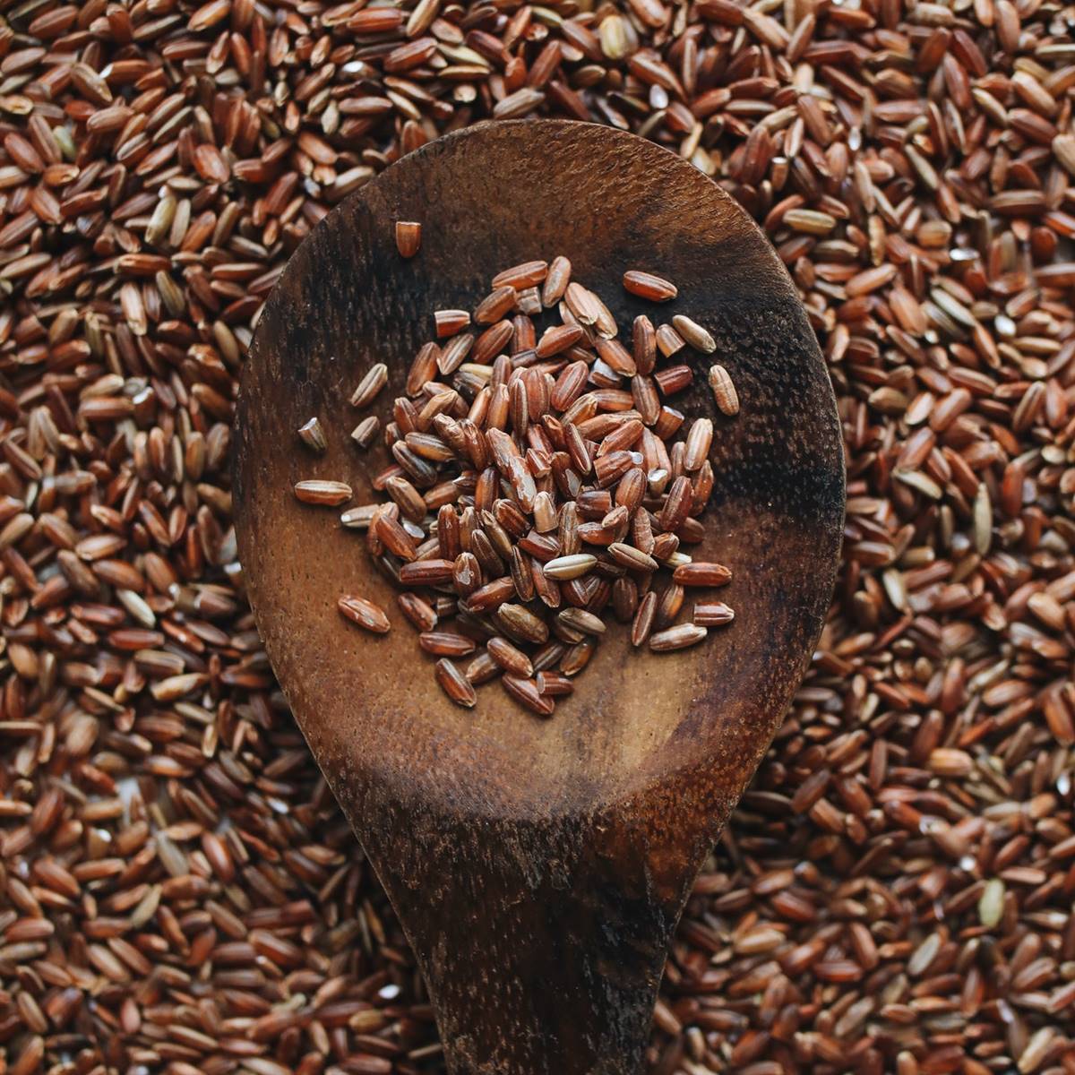 Cómo cocinar arroz integral