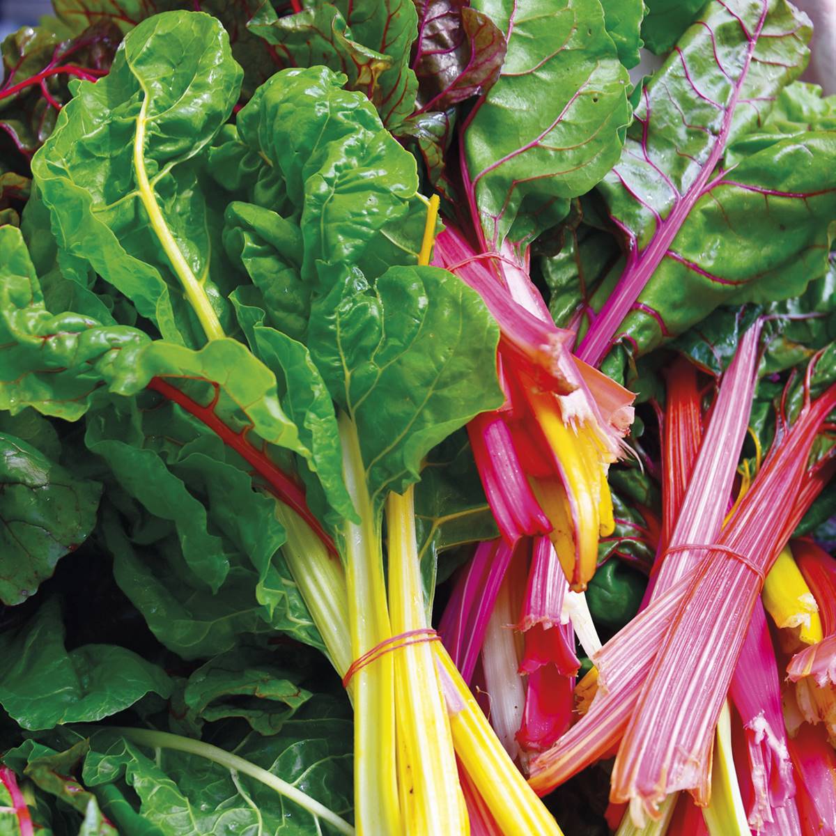verduras verdes