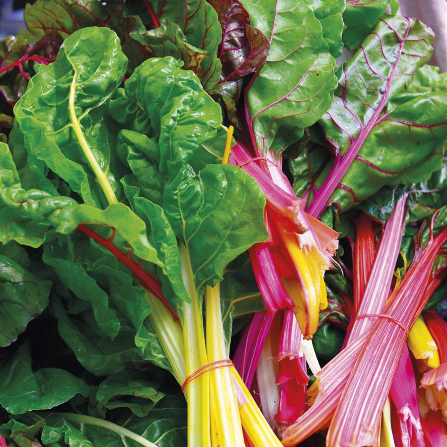 verduras verdes