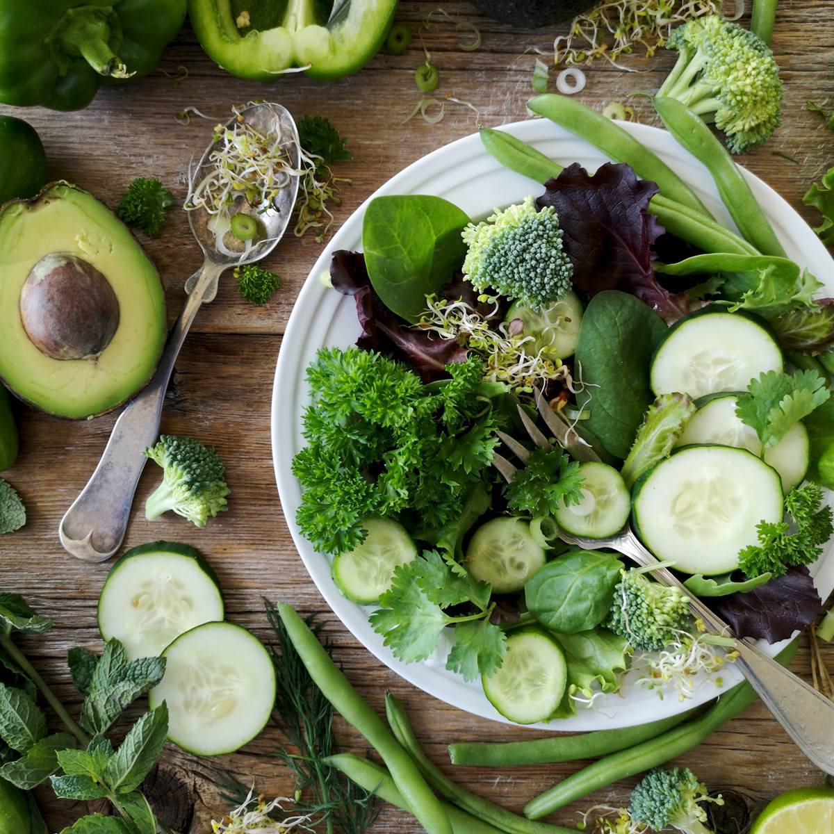alimentos vegetales