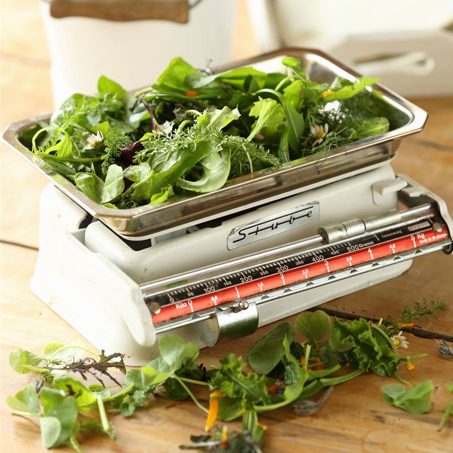 4 plantas silvestres deliciosas que encontrarás en otoño