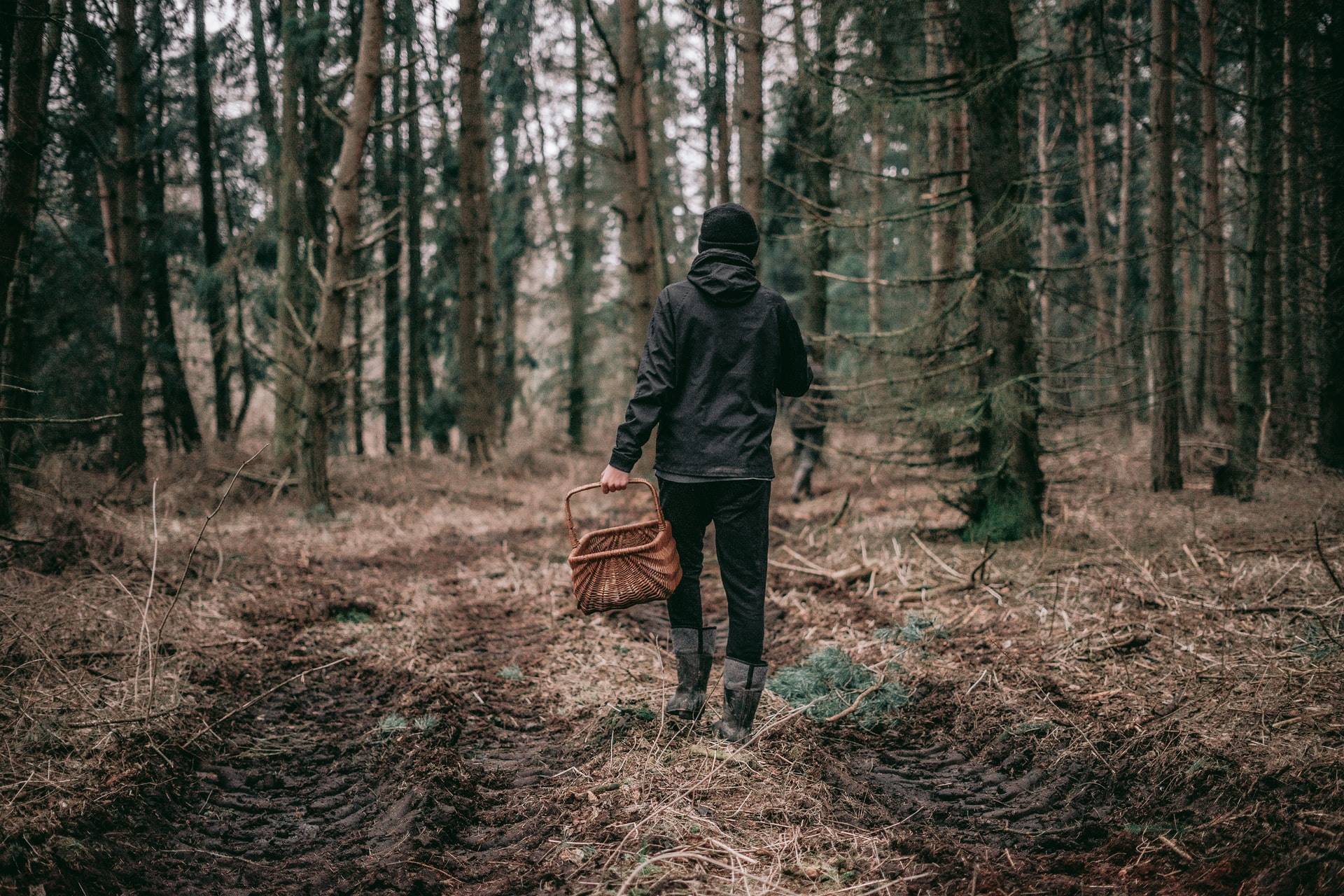 3 sebastian-pociecha-IZr6n-v2IE0-unsplash-2