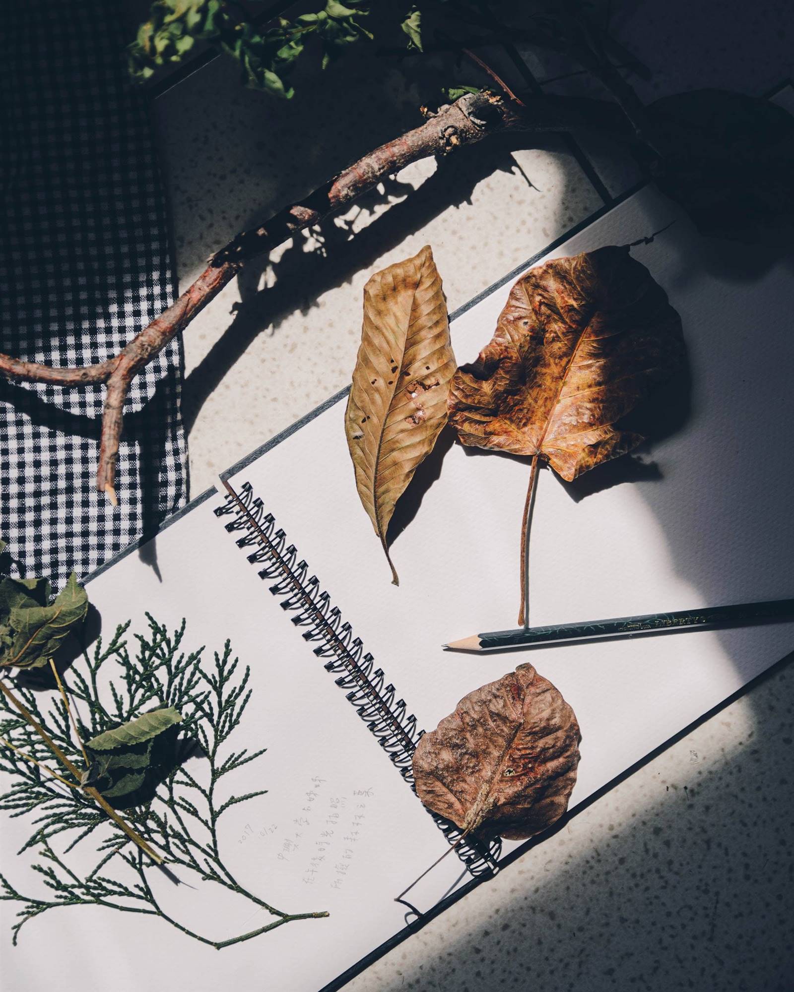 8 loverna-journey-uyZg ksYsQ4-unsplash