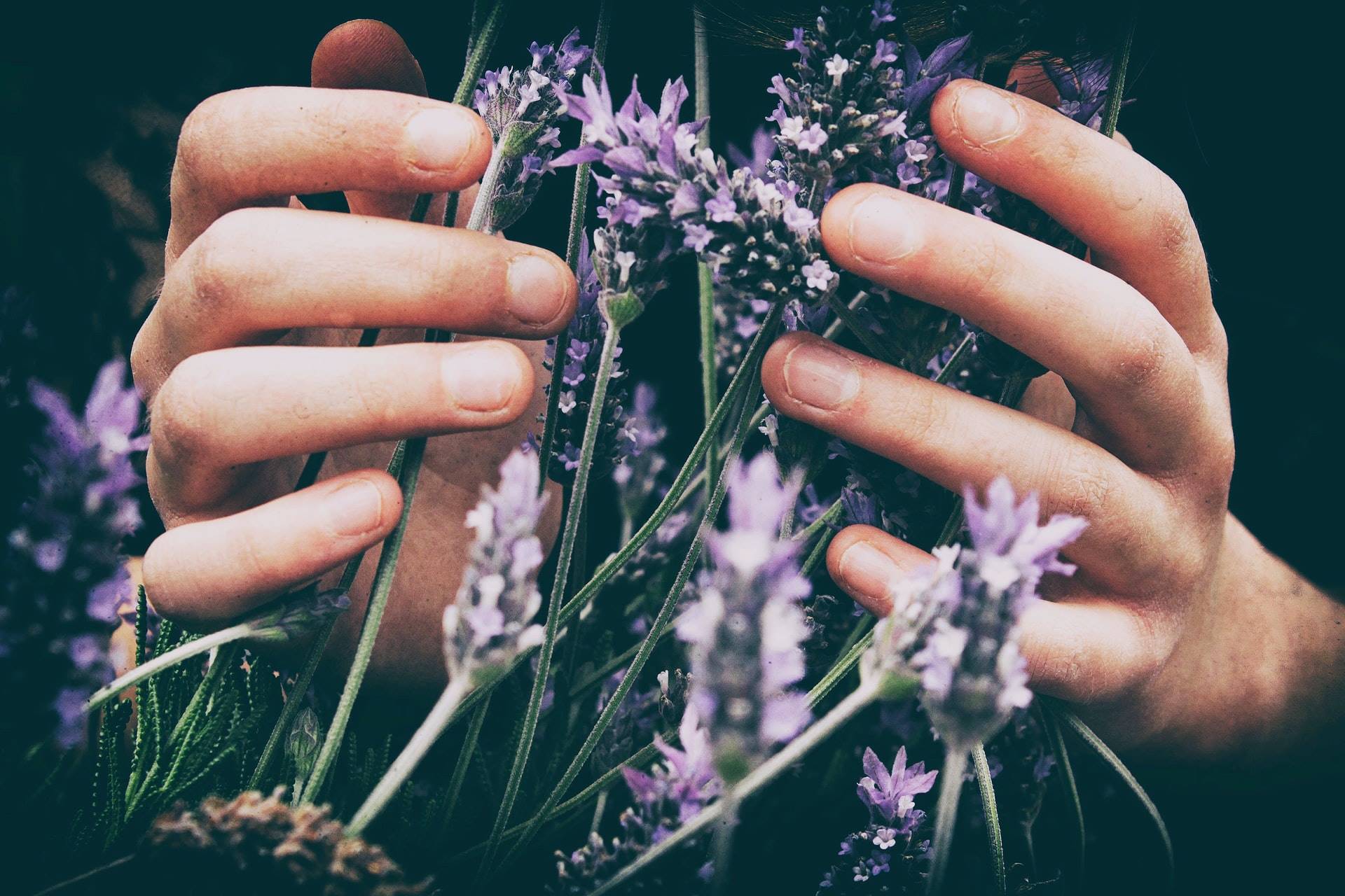 9 vero-photoart-9OflqNWhcrE-unsplash