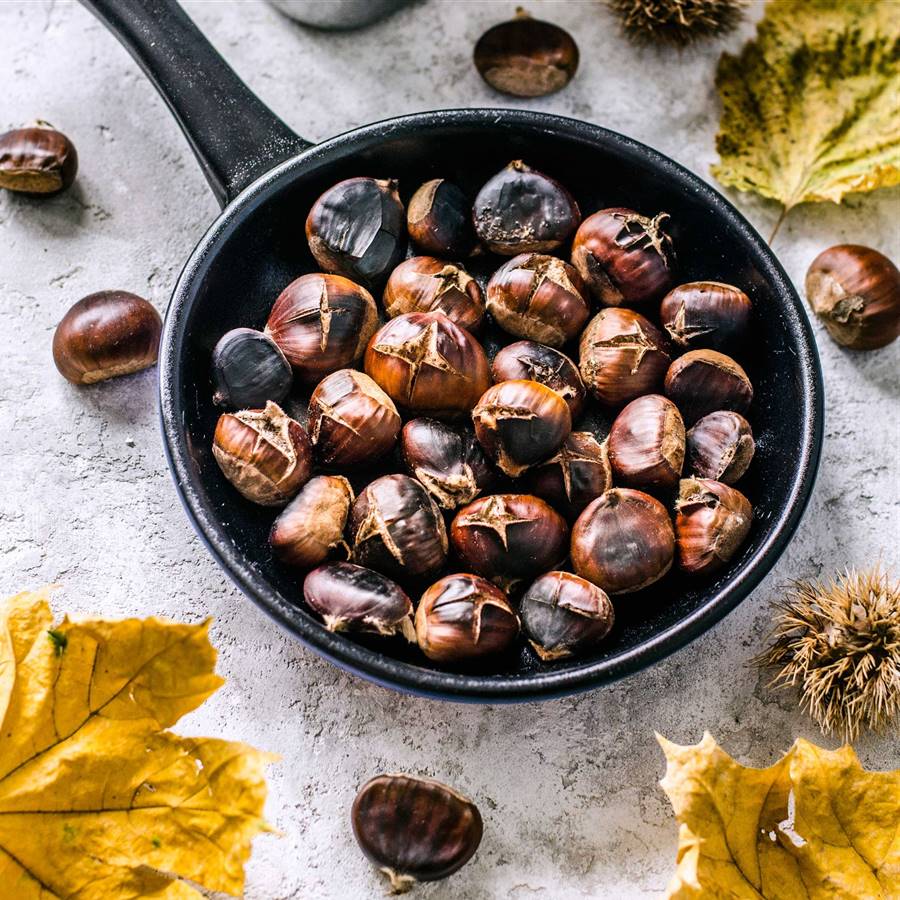 10 alimentos imprescindibles de otoño y cómo cocinarlos