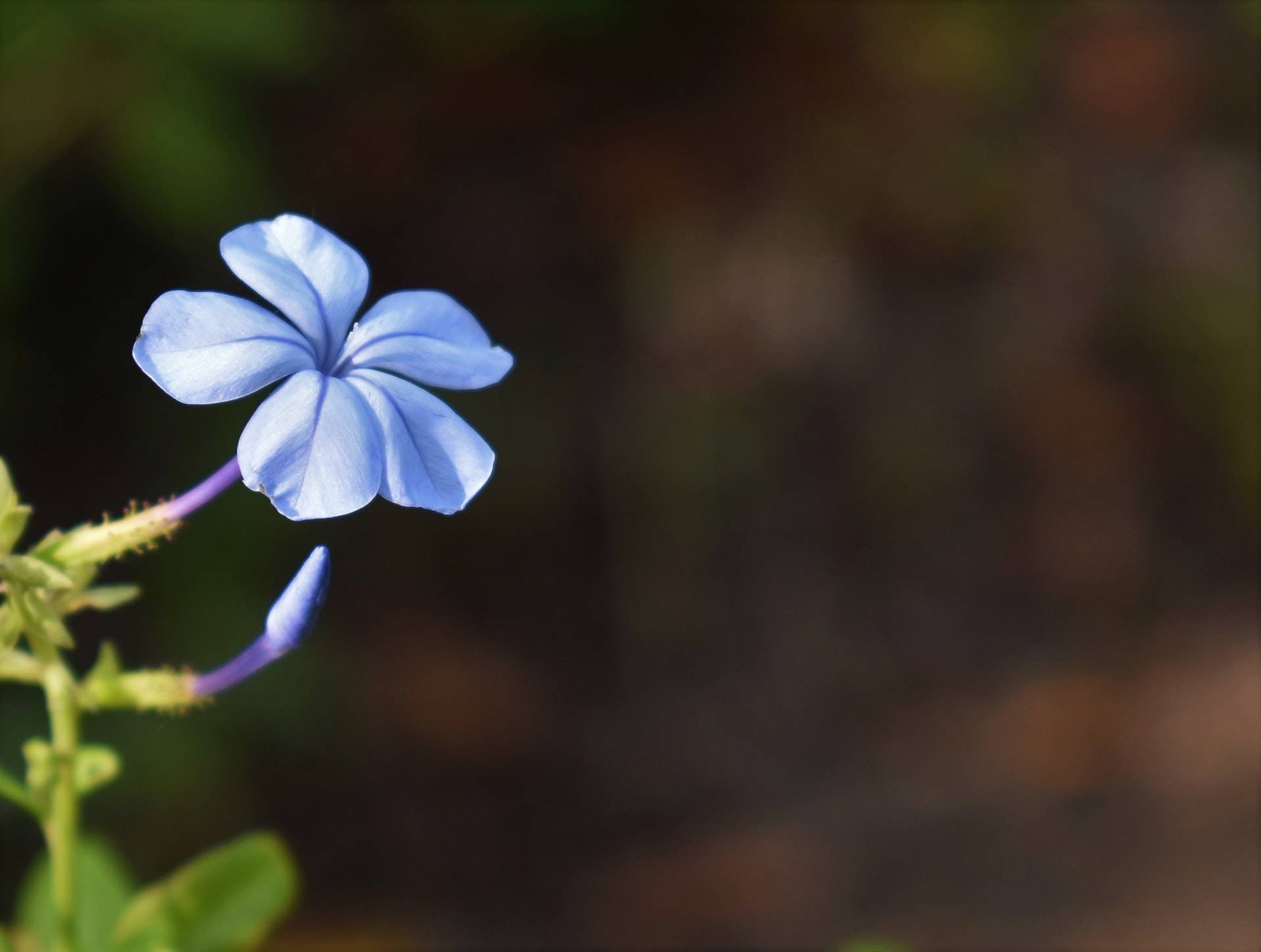 2 julie-blake-edison-BSsFXtzQYaY-unsplash
