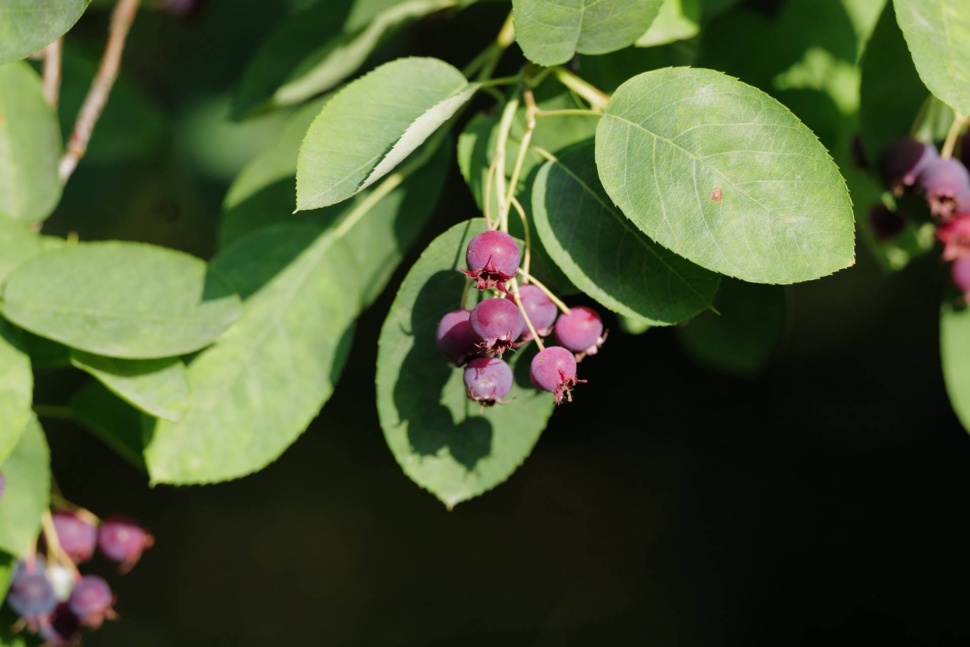 4 georg-eiermann-HWCWK1c63VU-unsplash