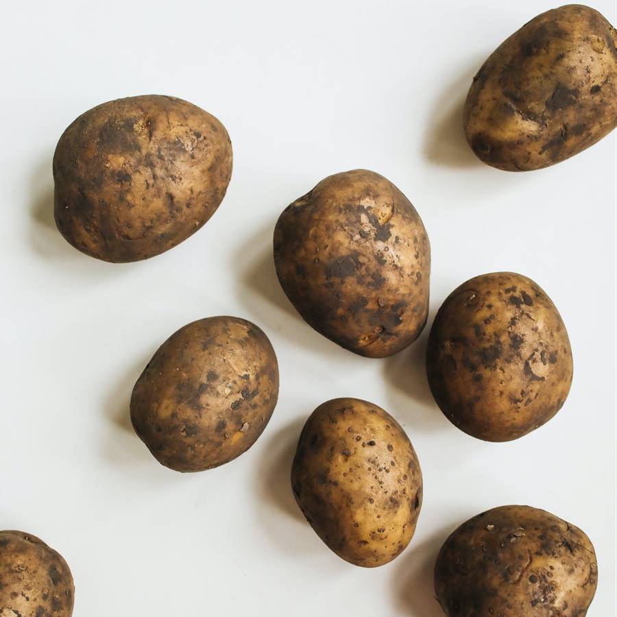 ¿Cómo se guardan las patatas para que no se estropeen? 