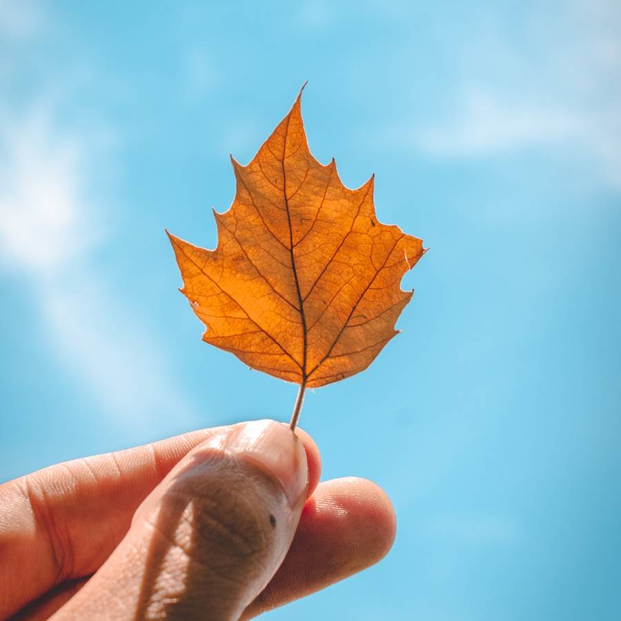 11 gestos para revitalizarte en otoño 
