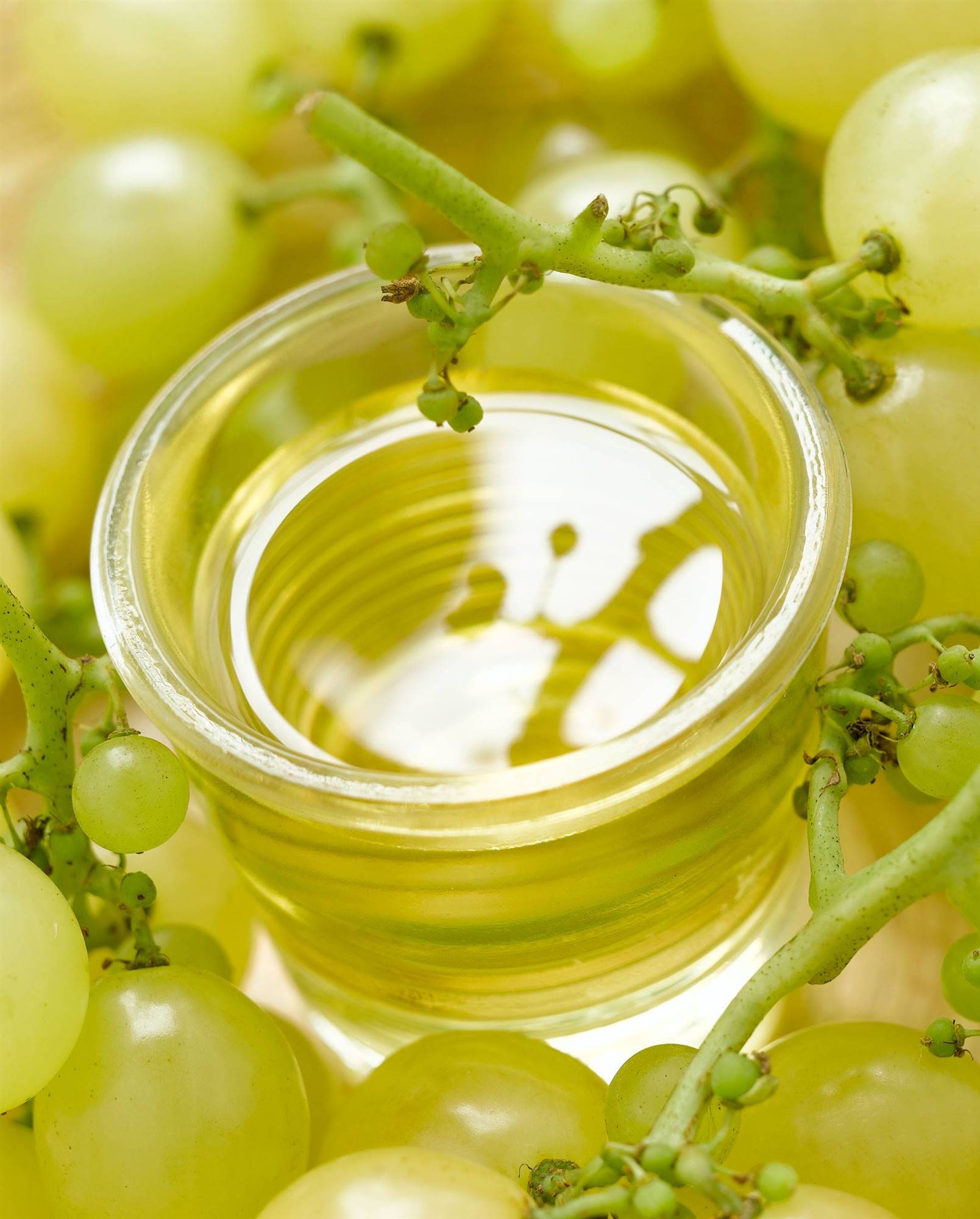 PEPITA-DE-UVA. Aceite de pepita de uva