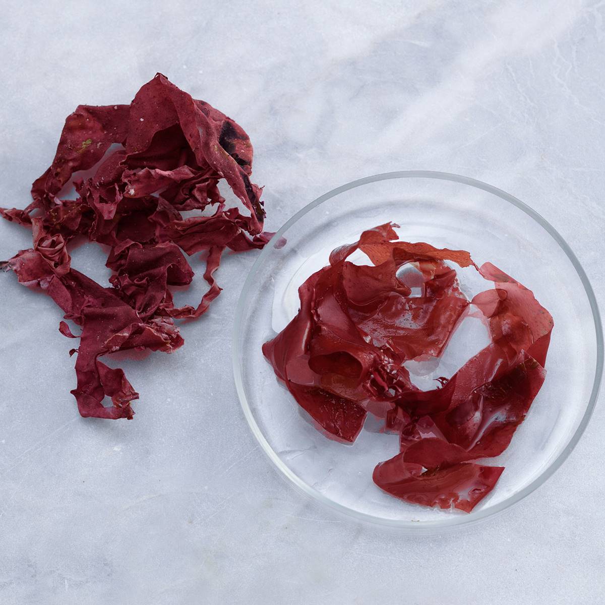 Lithothamnium calcareum o alga roja, una fuente de calcio natural
