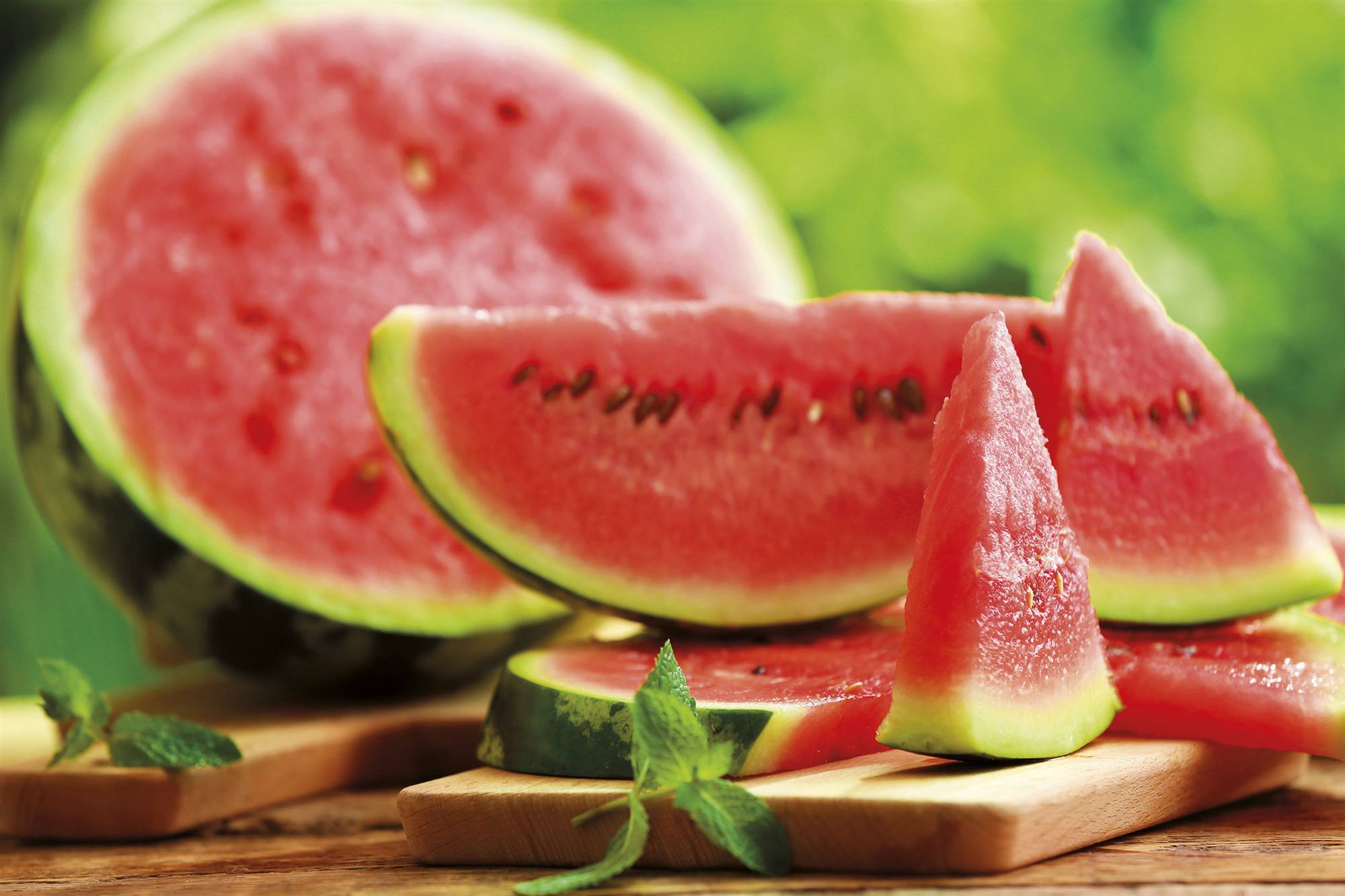 sandia. Sandía