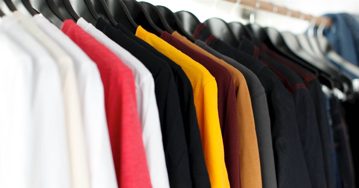 SI tu ropa tiene huecos o agujeros, es muy probable que tengas polillas en  tu closet.