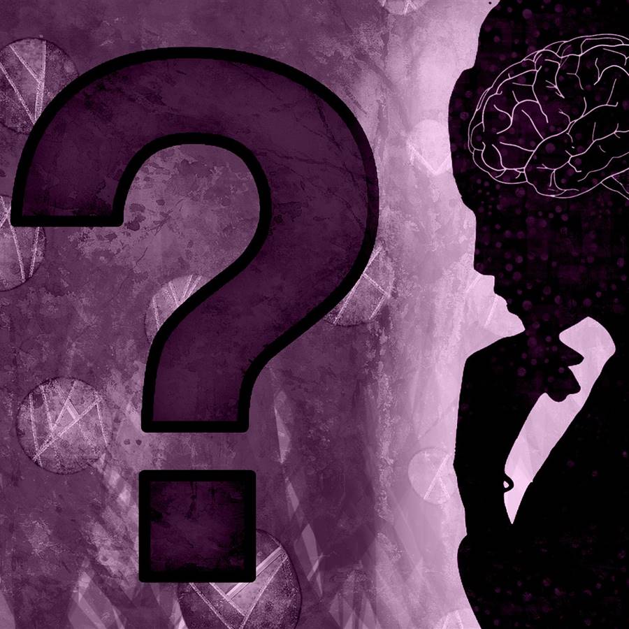 El cerebro humano: 14 mitos y verdades sobre cómo funciona