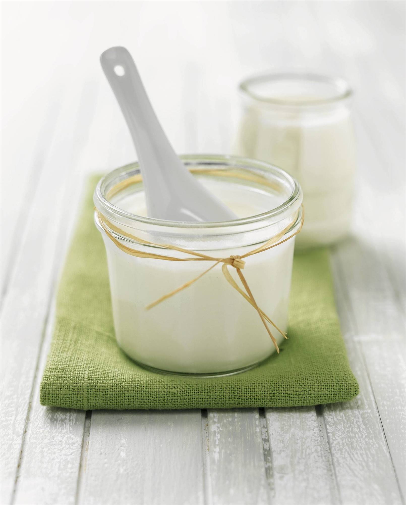 YOGUR-. Cómo elaborar yogur en casa