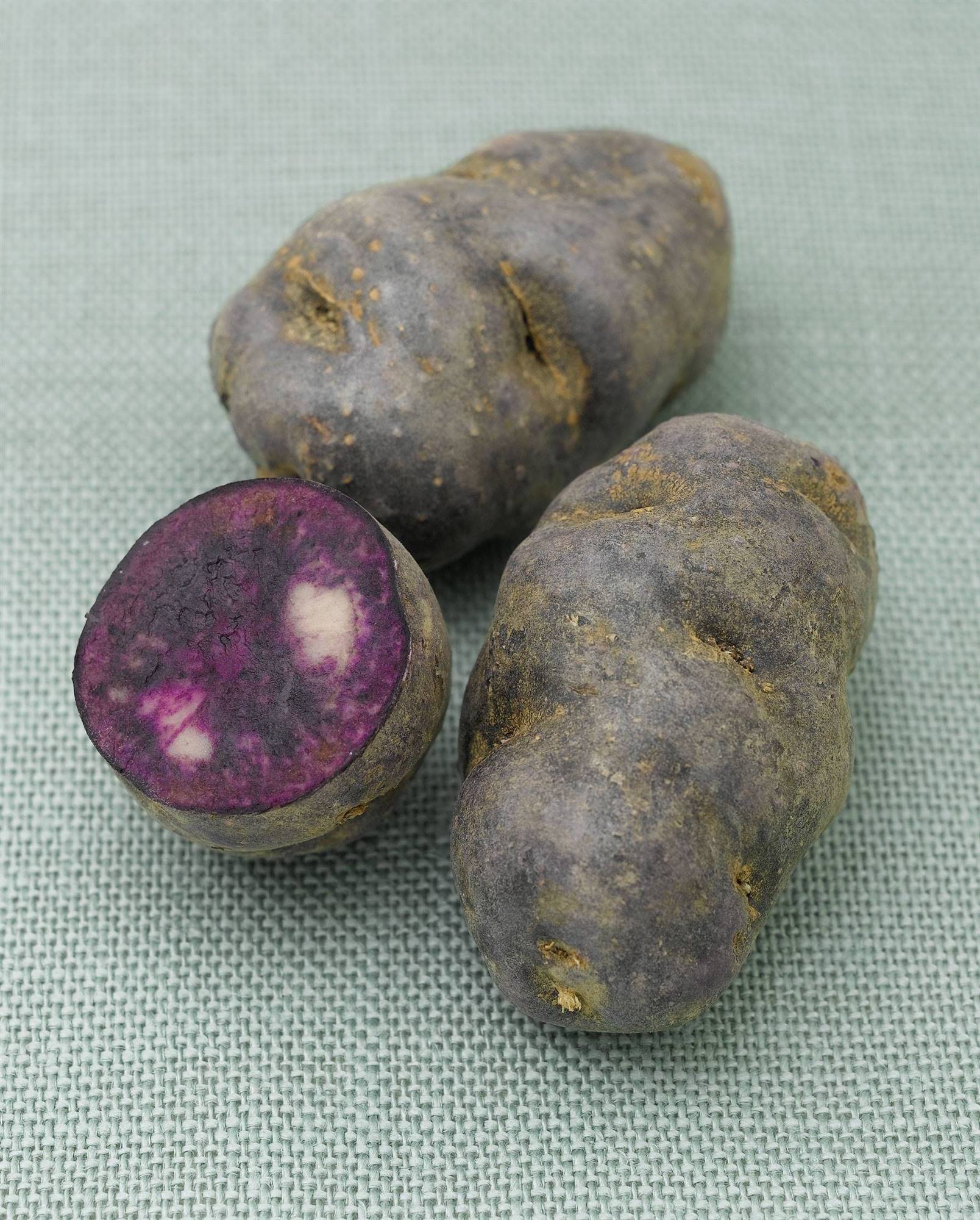 VIOLETA
