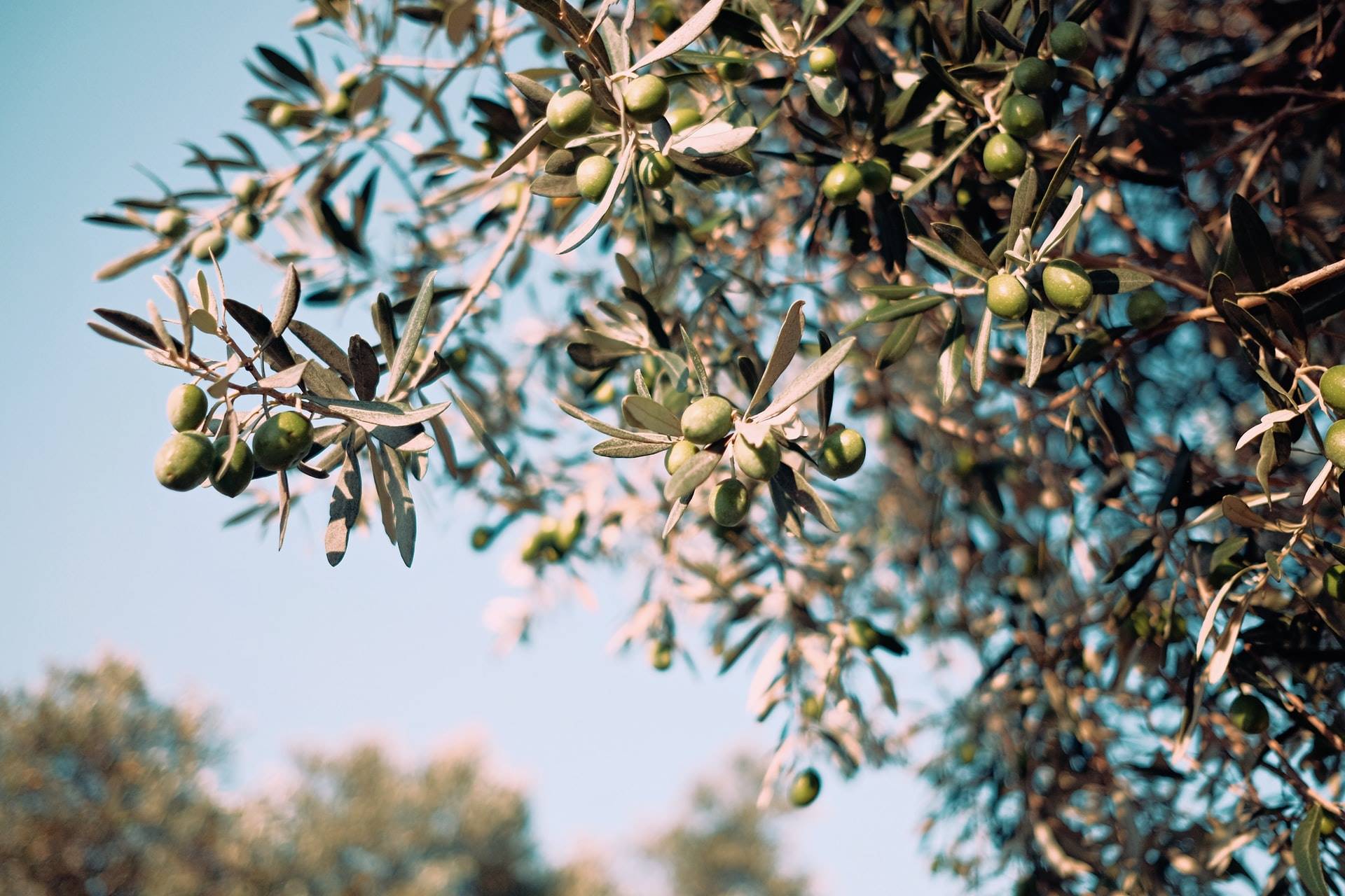 1 emre-9SDh6PF2g U-unsplash