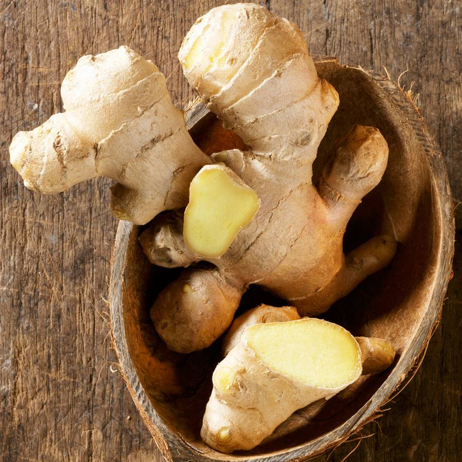 Raíces medicinales para el invierno: jengibre