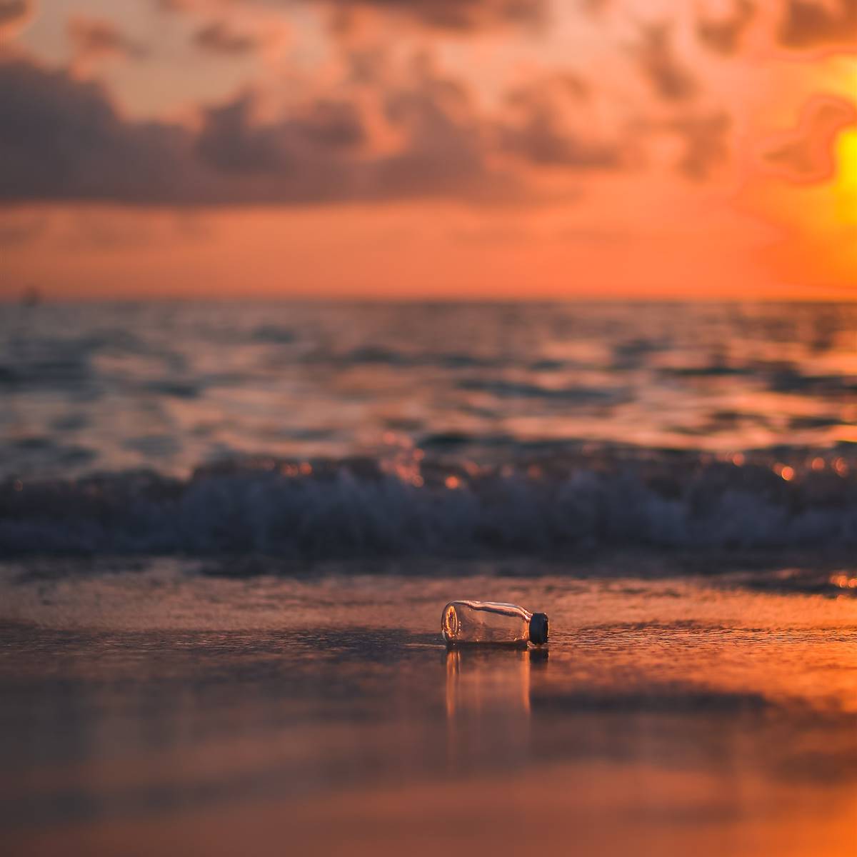 Botella de plastico en la orilla de una playa al atardecer