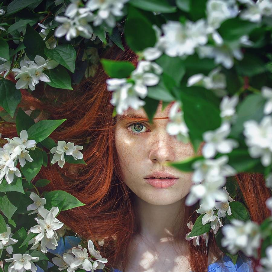 6 flores que son un tesoro para el cuidado del cabello
