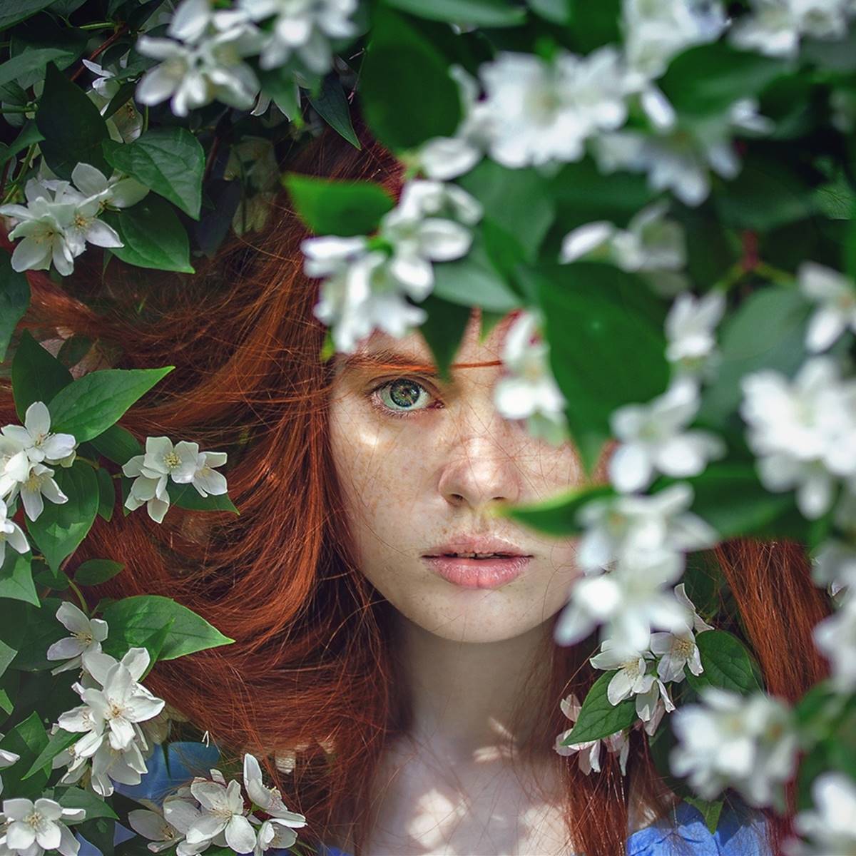 cabello flores