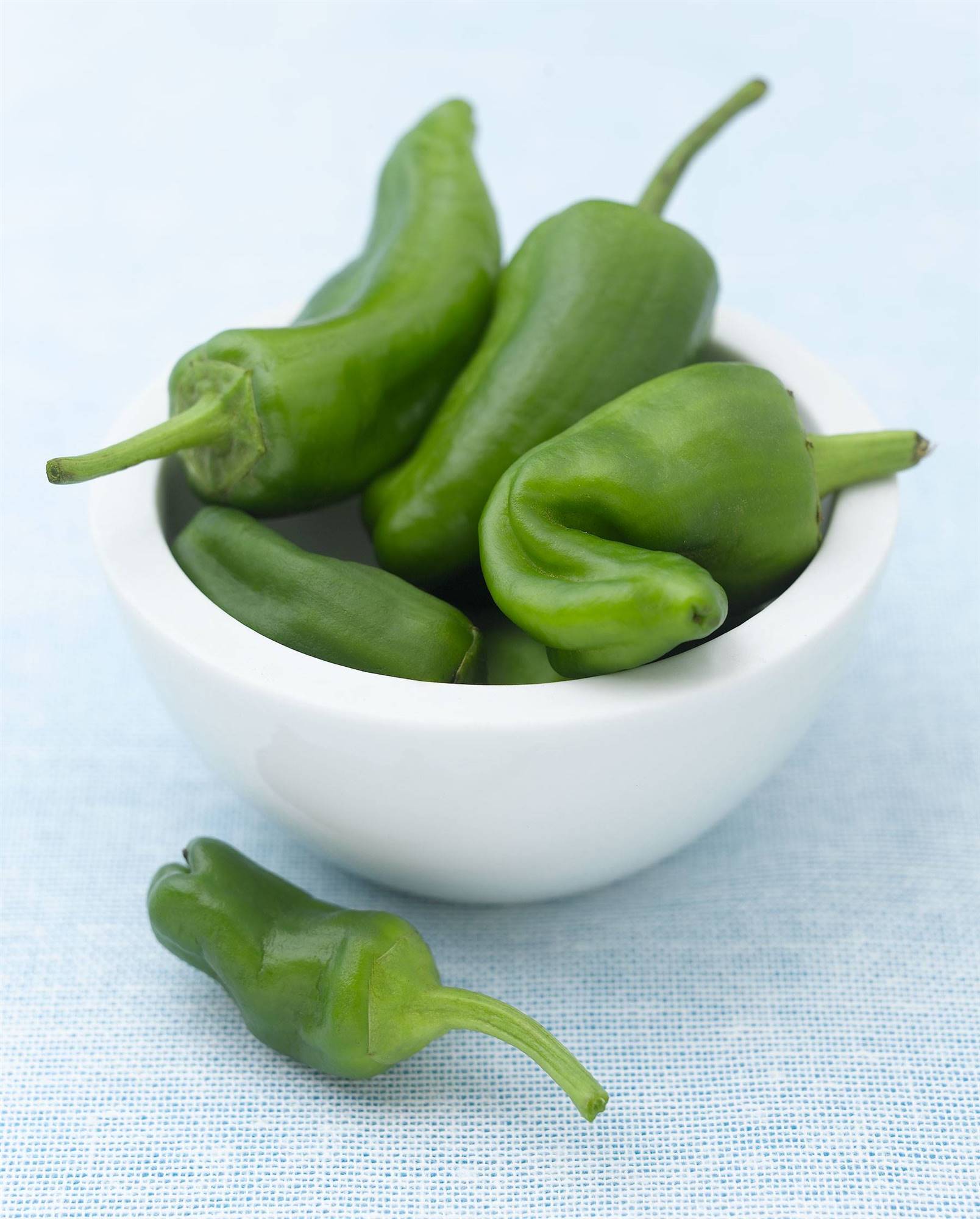 DEL-PADRON