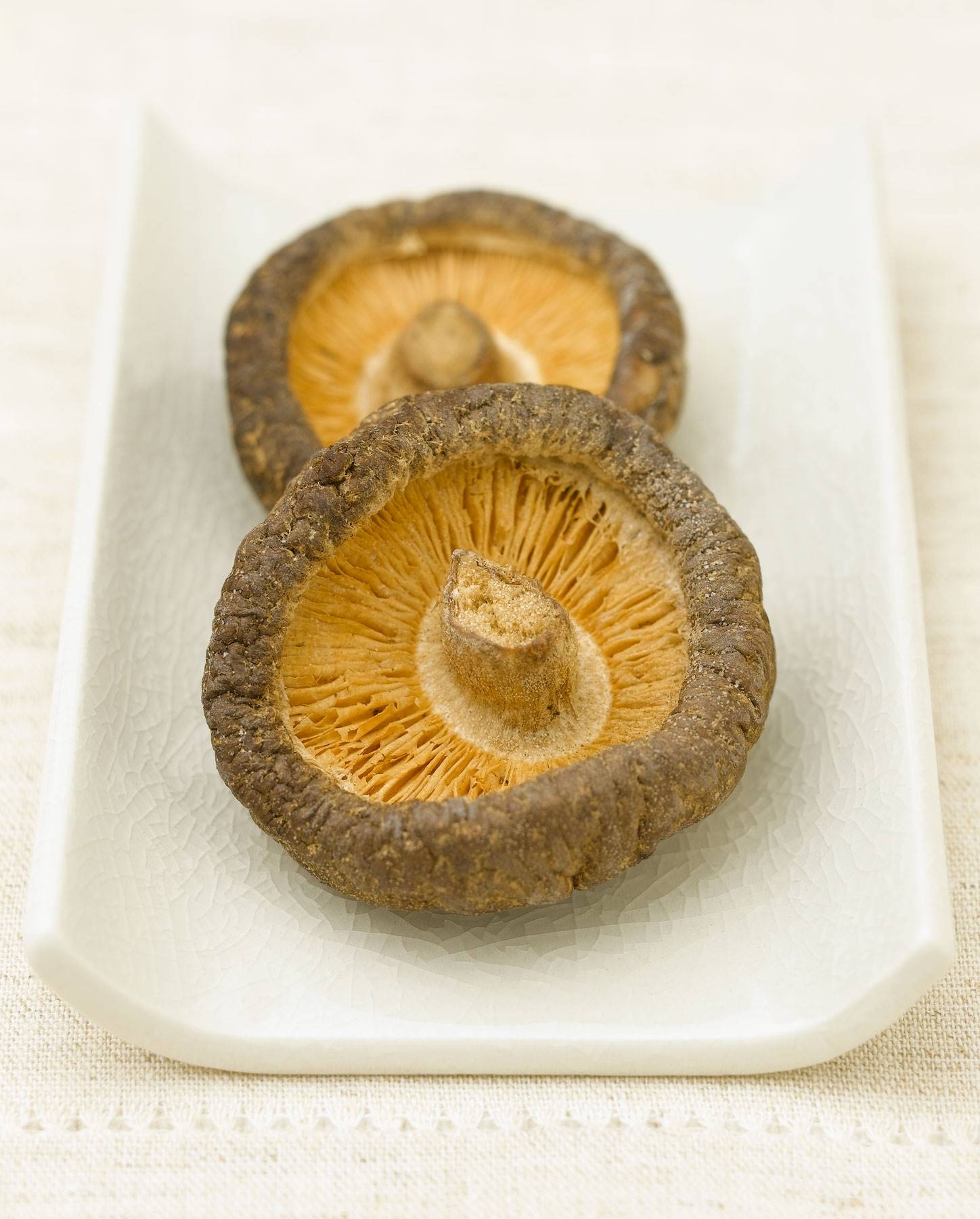 SHIITAKE-SECO