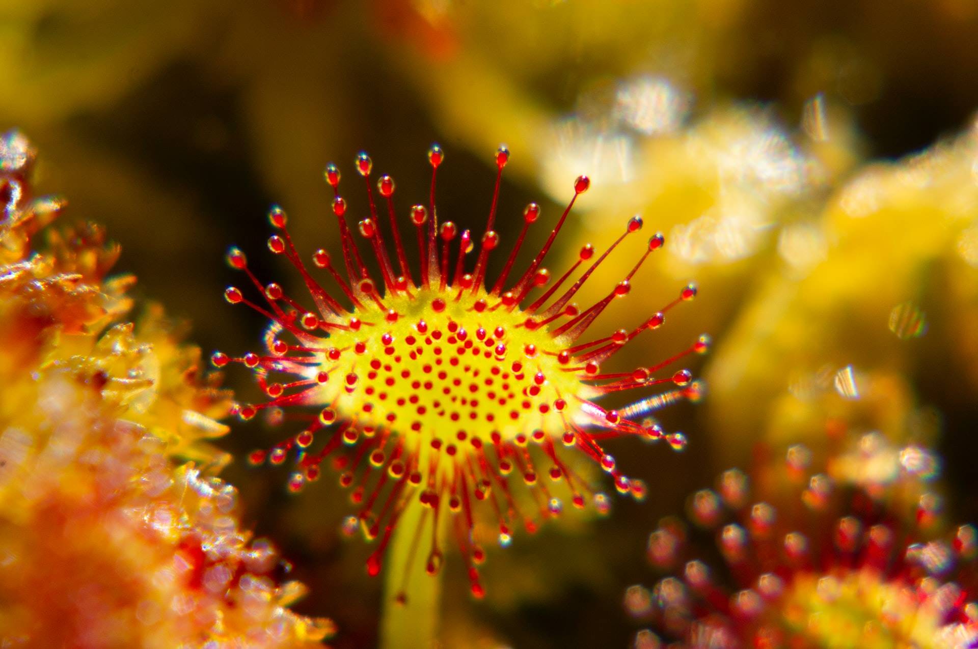 1 theotim-thoron-RZ3o34qgW 4-unsplash